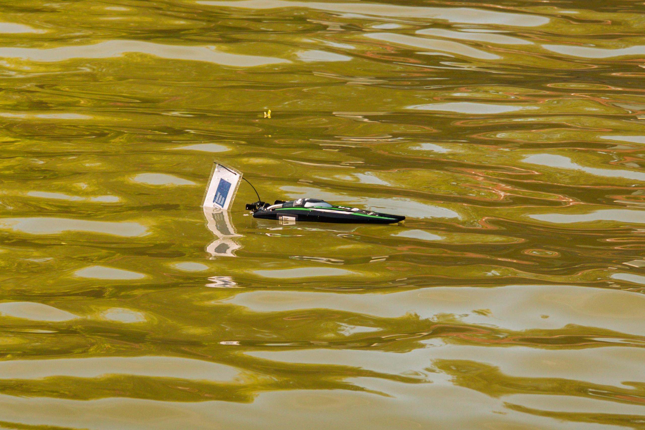 06.04 Bega Boat Race. Cozac Cristian Photographer