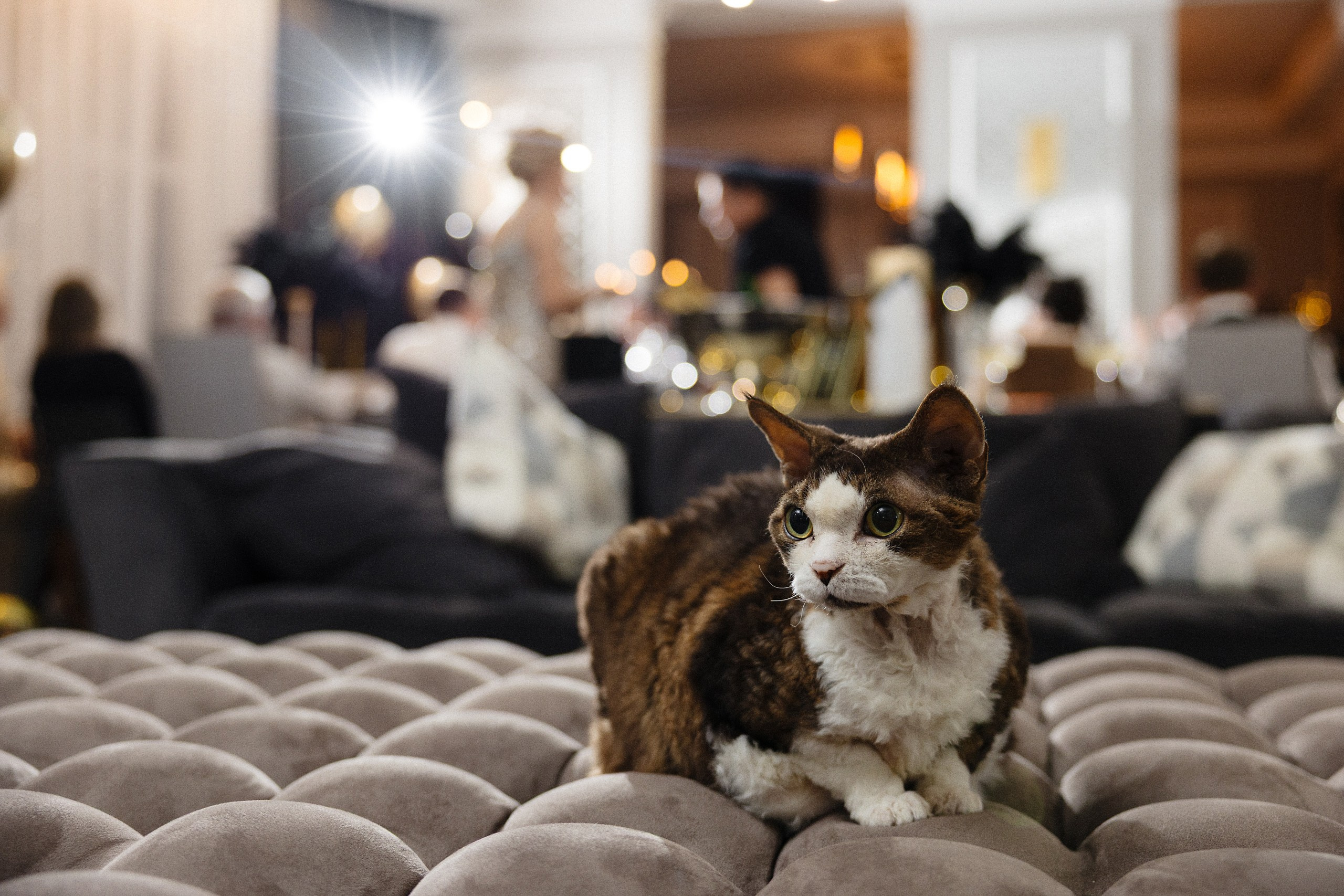 Вечеринка в стиле Великого Гэтсби | Фотограф на мероприятие в Риге. Евгений Тимофеев | Свадебный и контент-фотограф и видеограф в Риге