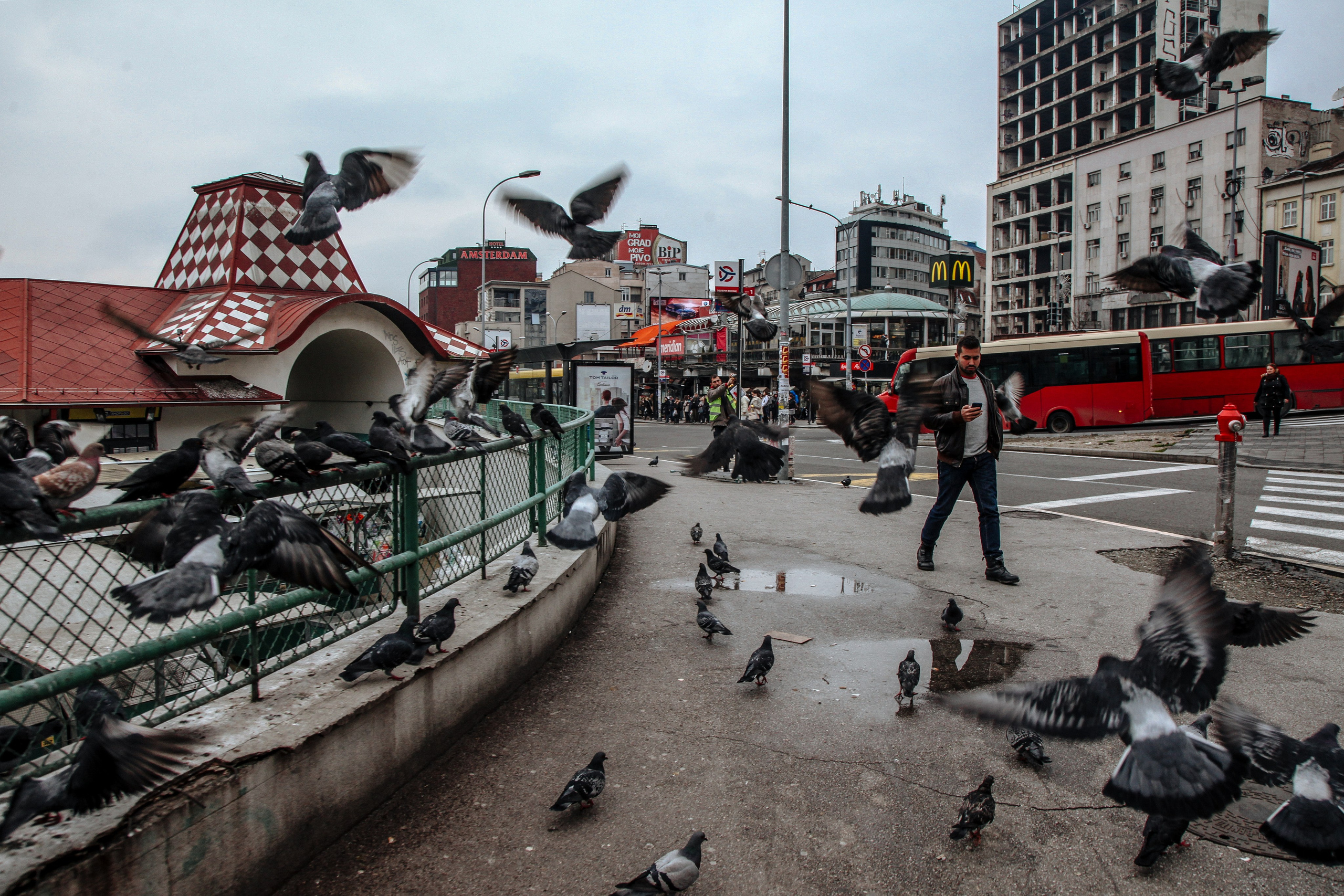 Пернатый психоз. Стрит-фотография, полная абсурда, идиотизма и красоты
