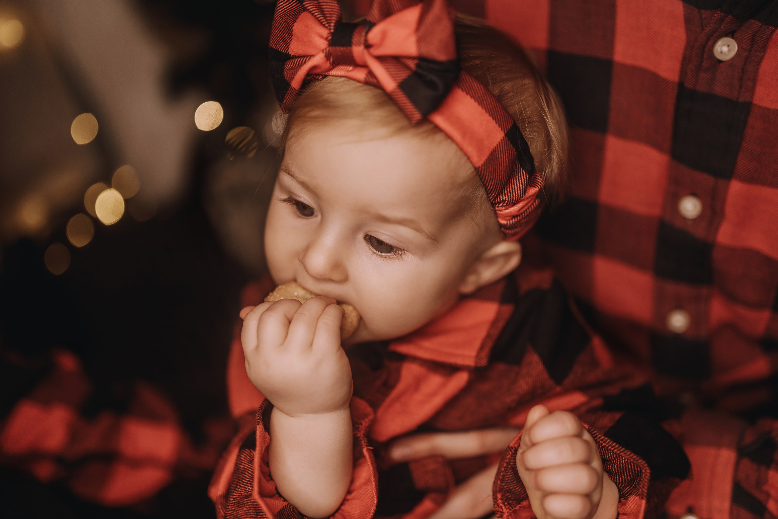 25.11.2023 Christmas Photoshoot 1. Wedding family event photographer in Chicago Nick Yushevich