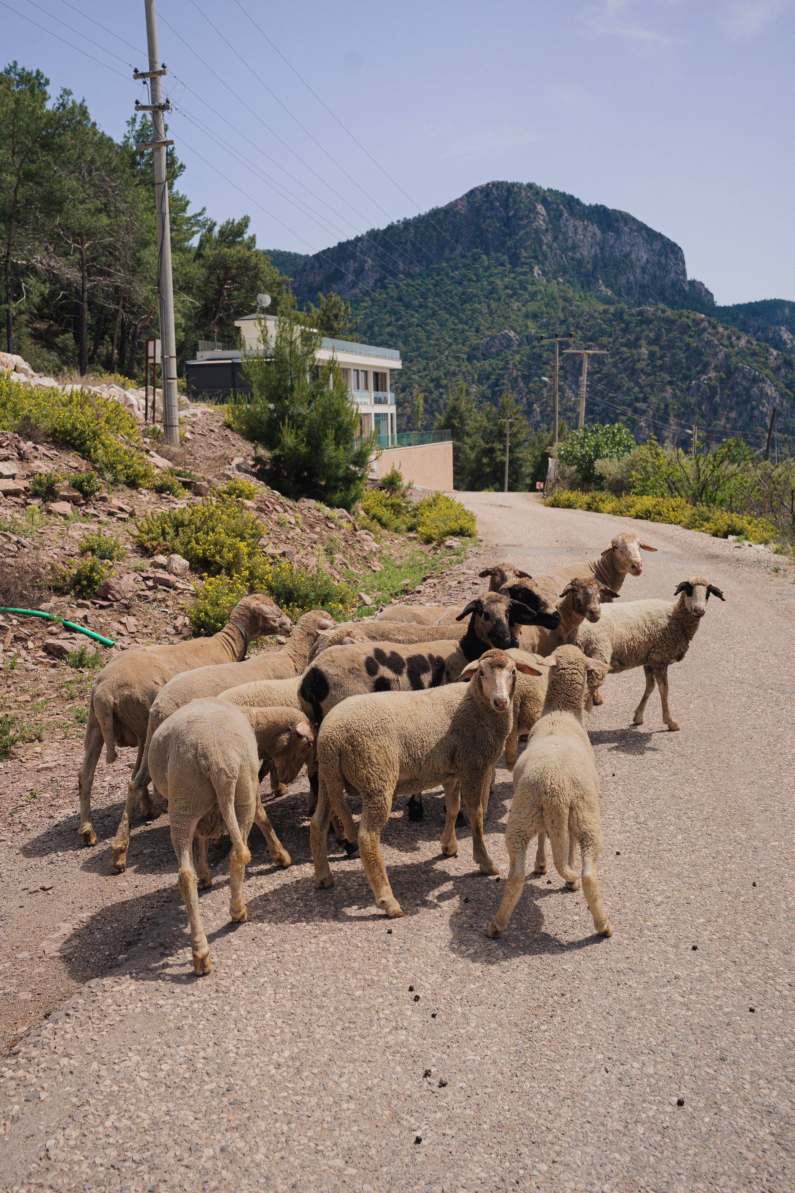 Хайкинг Ликийская тропа. Фотограф Москва Ларина Юлия