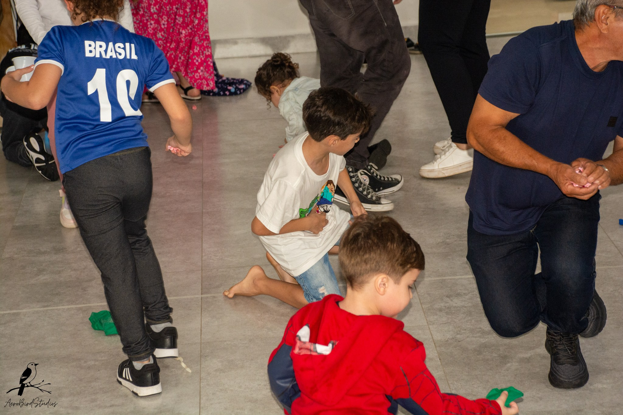 Leonardo 8 ano. AerobirdStudios