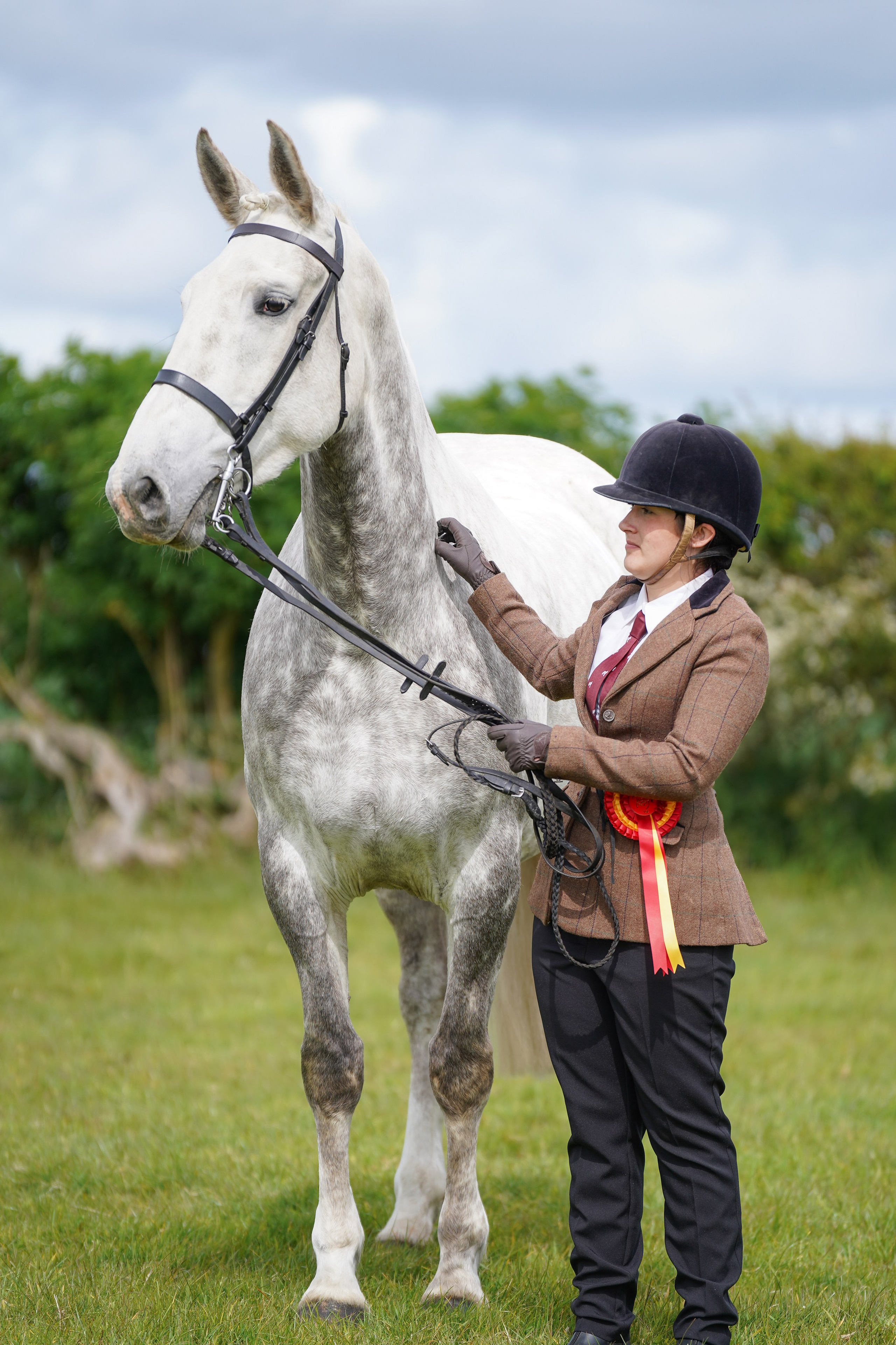 Showing. Leicestershire Equine Photography by El | Authentic Equine Portraits & Events