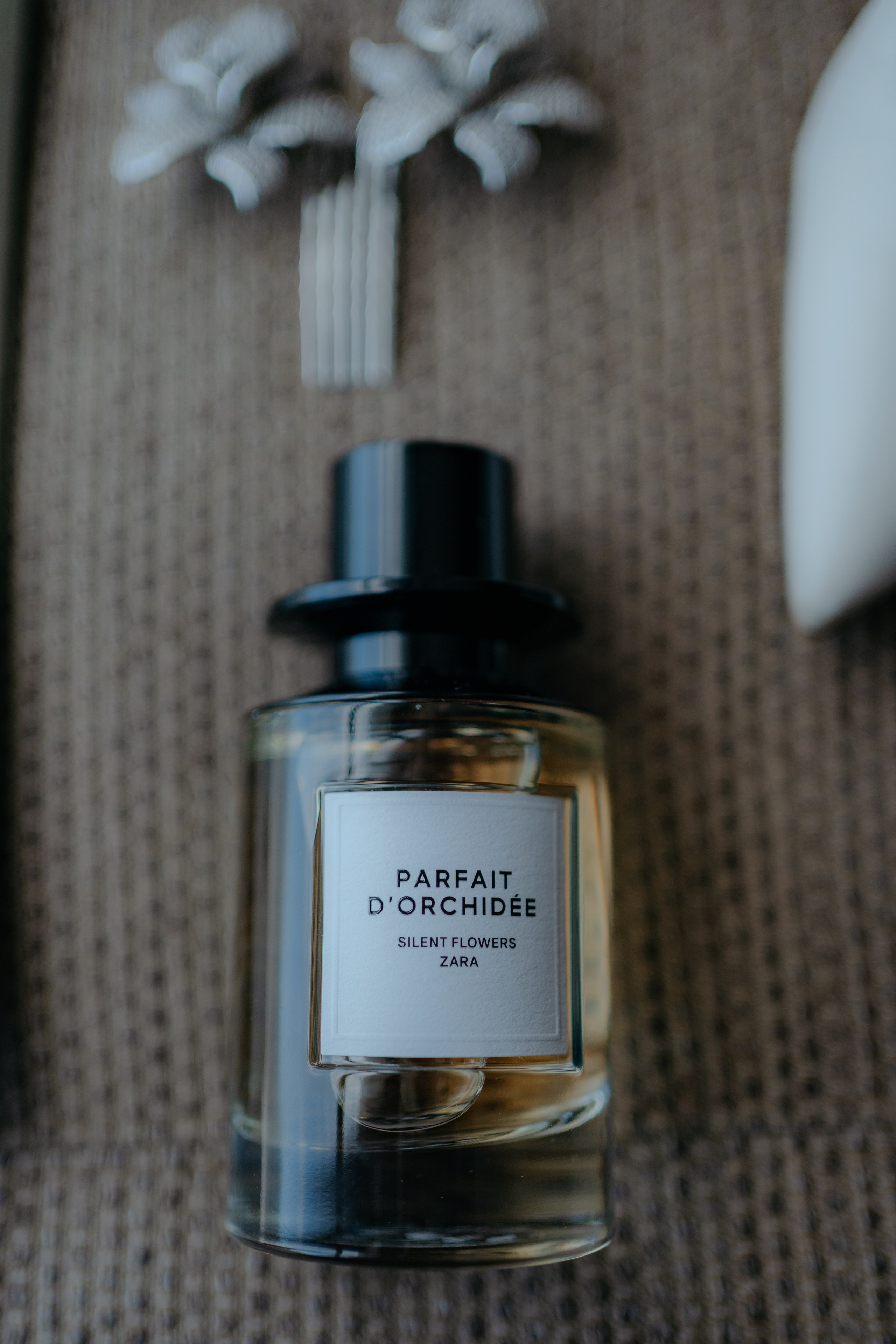 Jessica e Anna Luiza (matrimonio). Principal