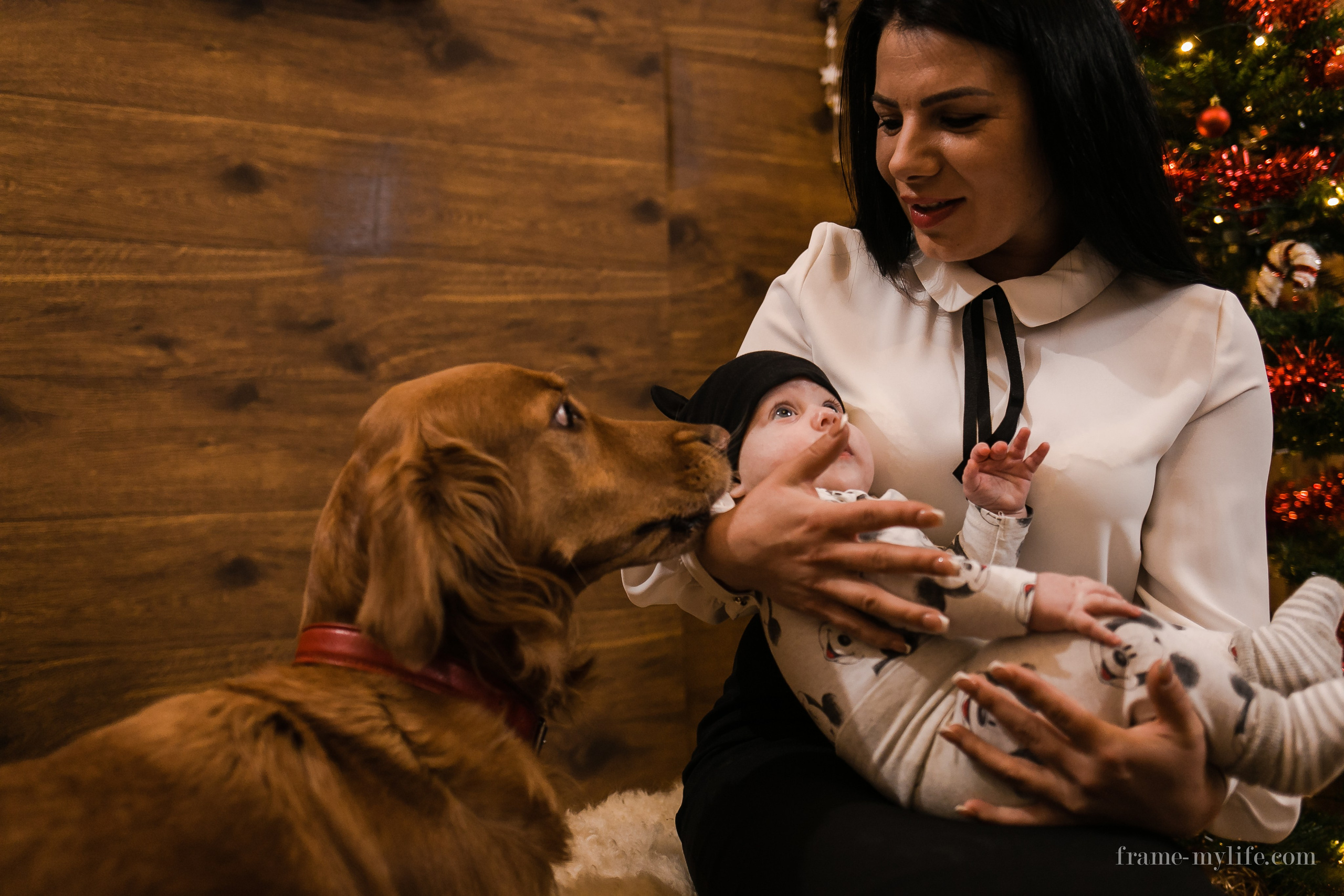 Ședințe Foto Crăciun cu familia in Pitesti | Alexandru Grigore Photography