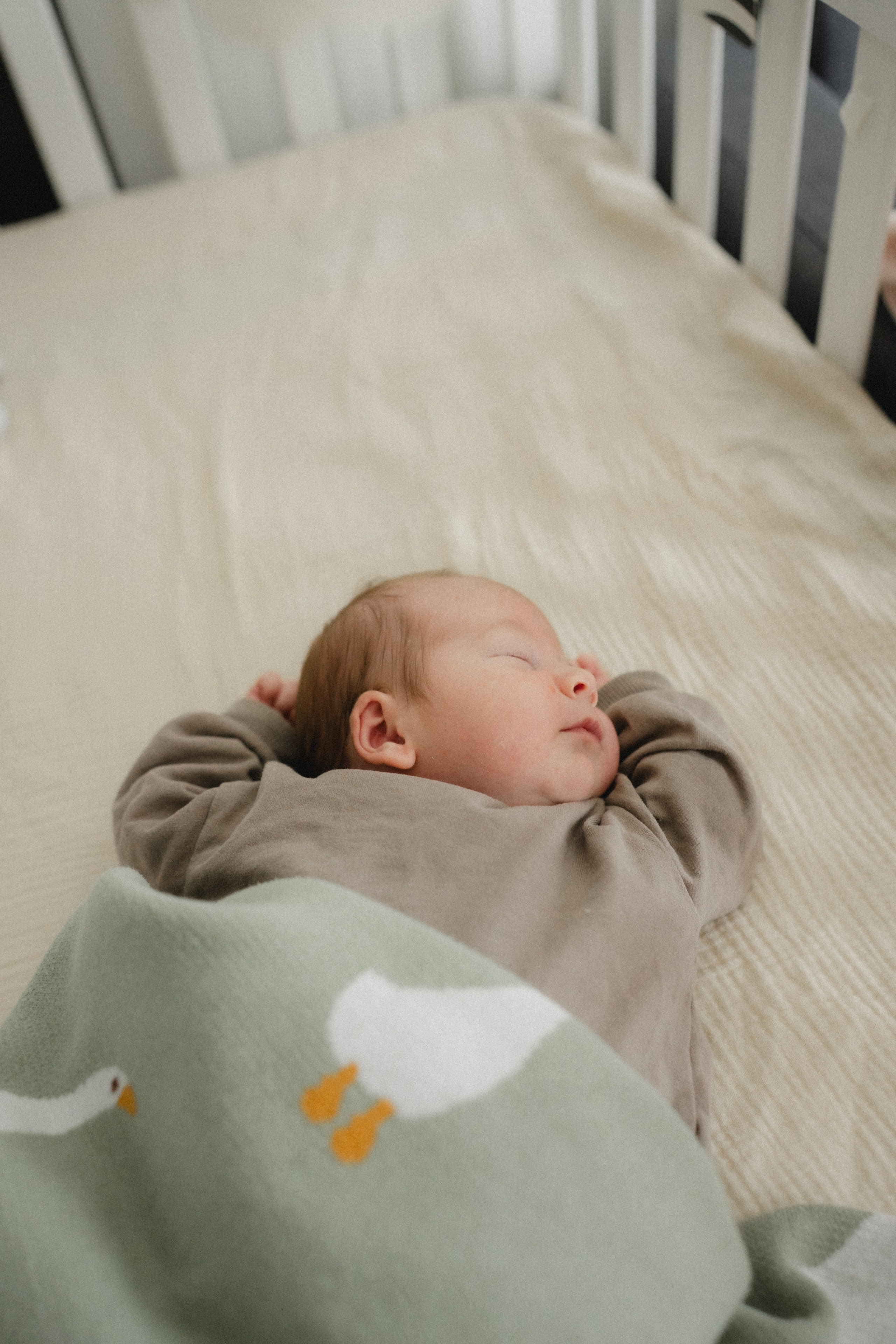 Little David. Professional Photographer Abu Dhabi, Dubai — Yulia Ismoilova | 2025