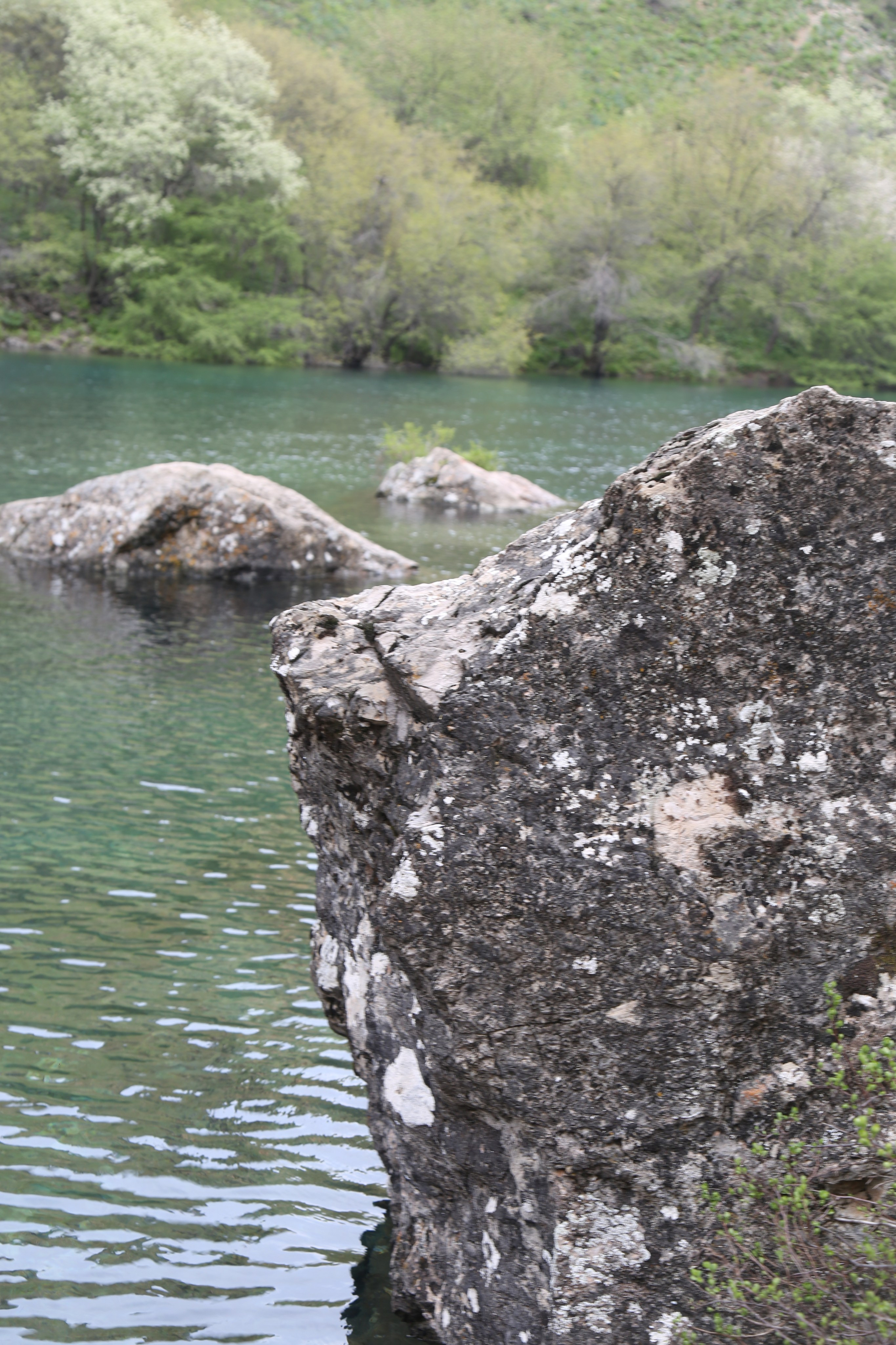 Tour. Диана Сонни фотограф, город Ташкент