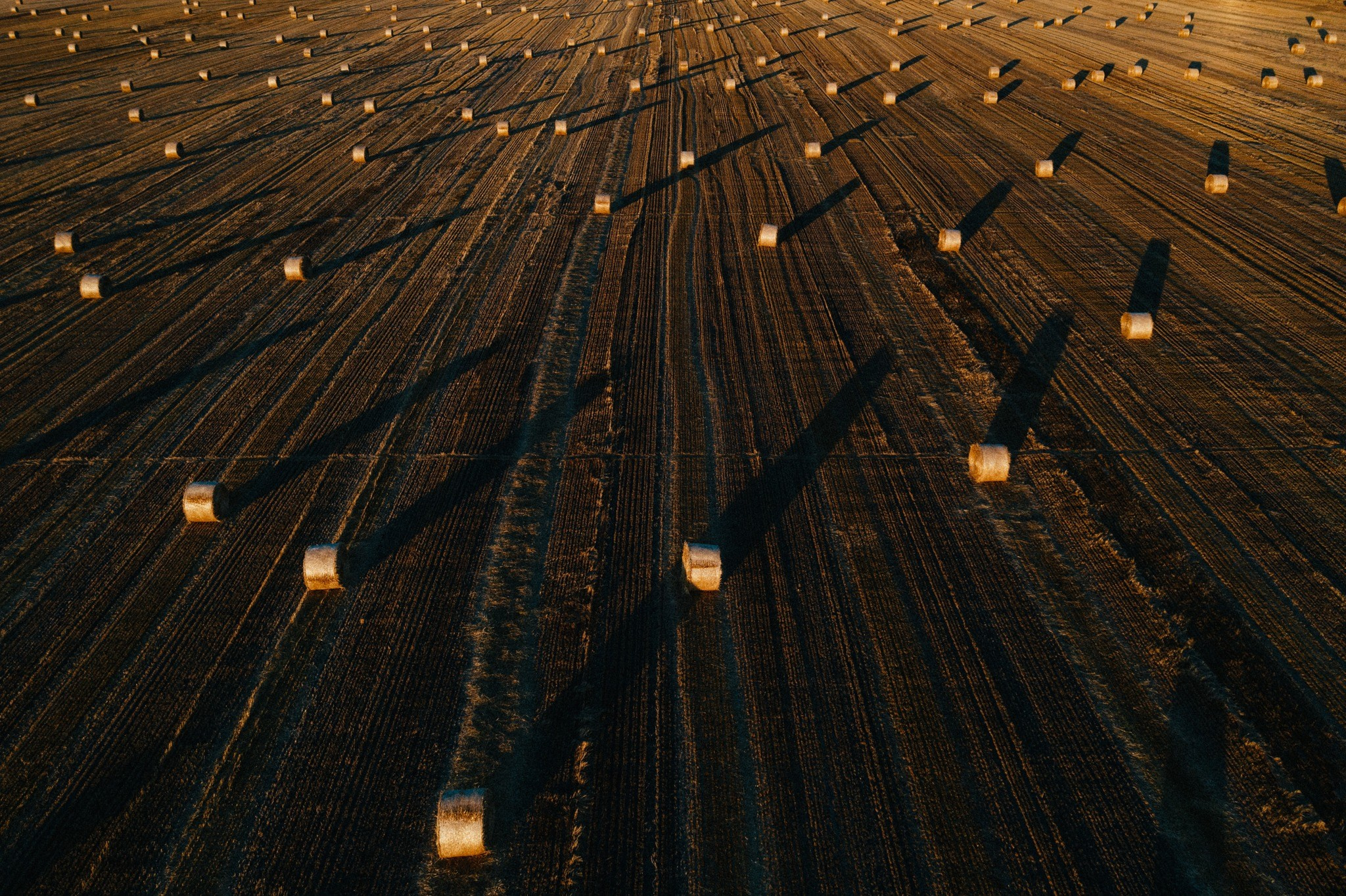 Landscape photography. Wedding photography