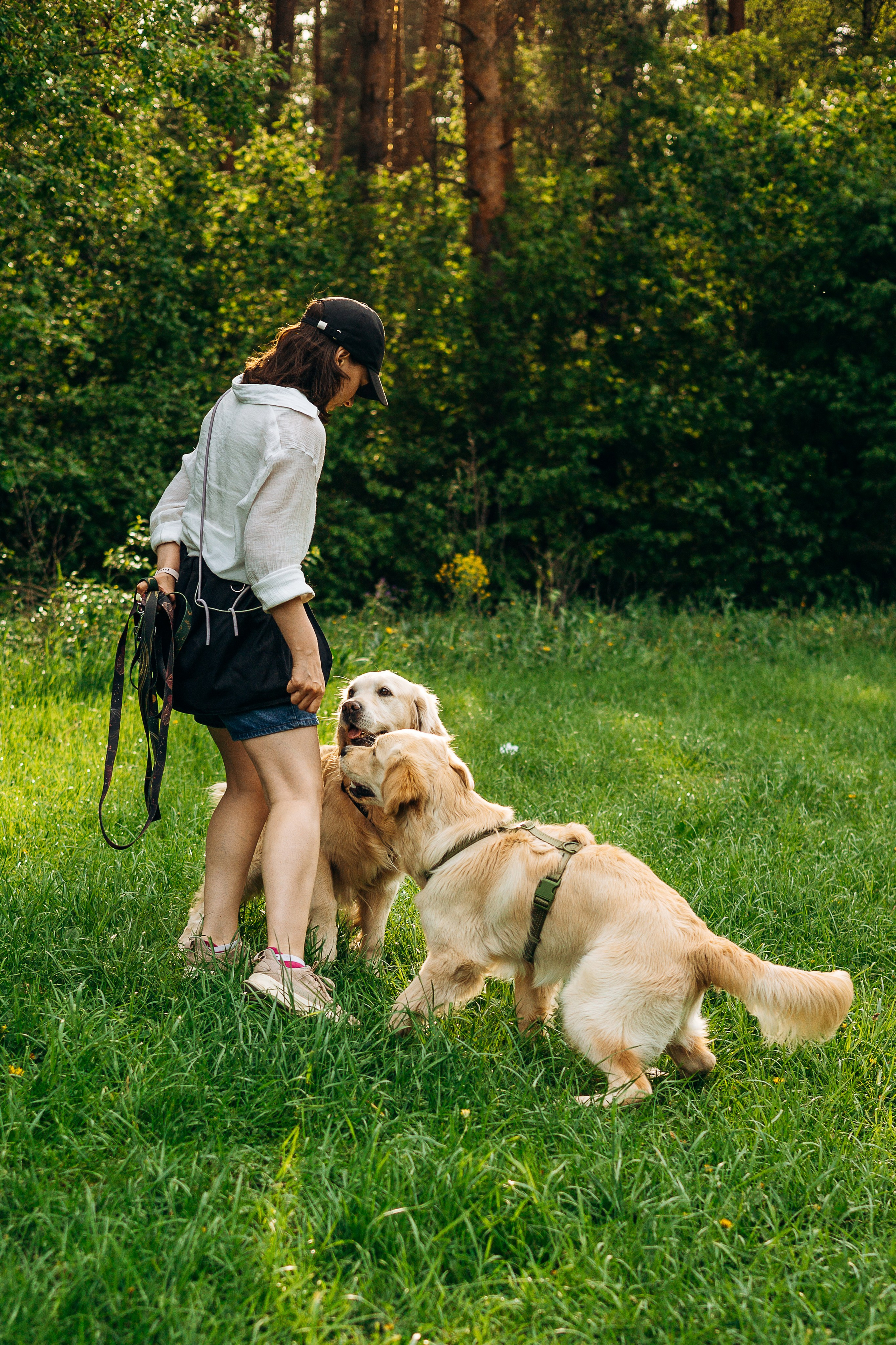 Настя, Арчи, Арагон. Фотограф-анималист | Белград