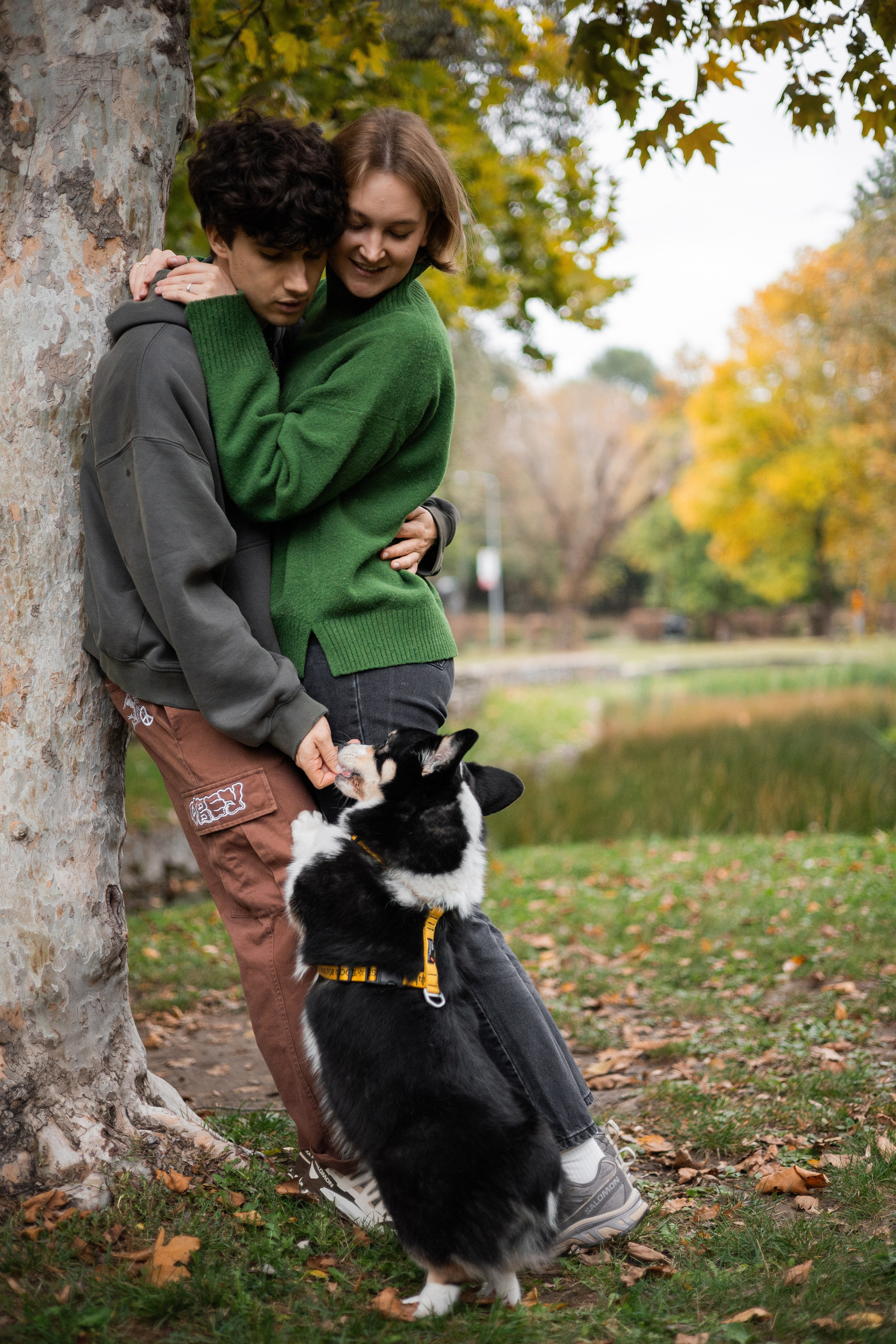 Даня, Аня и Плюша. Фотограф-анималист | Белград