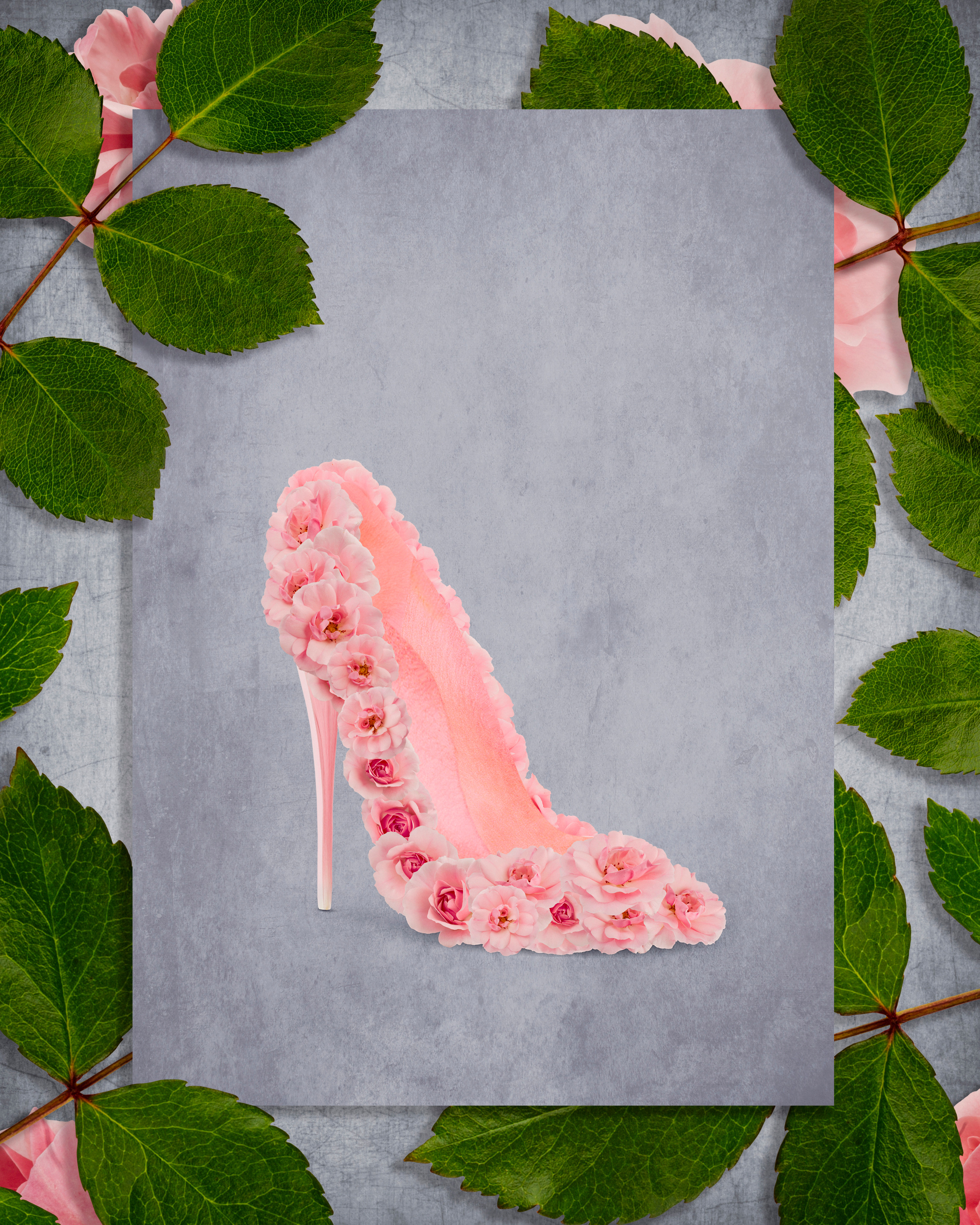 Kwiaty. Fotograf w Warszawie Lilia