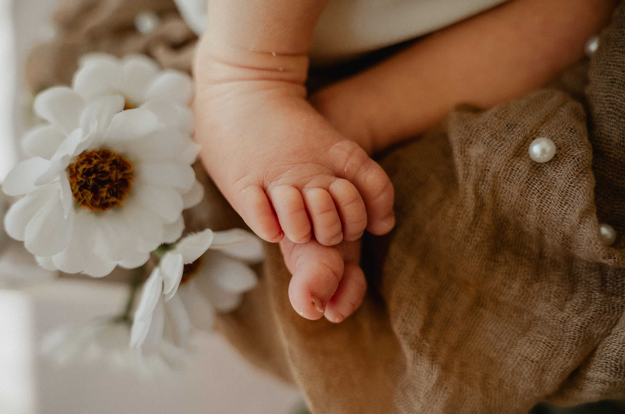 Newborn. Anastasia Kurbanov Photography