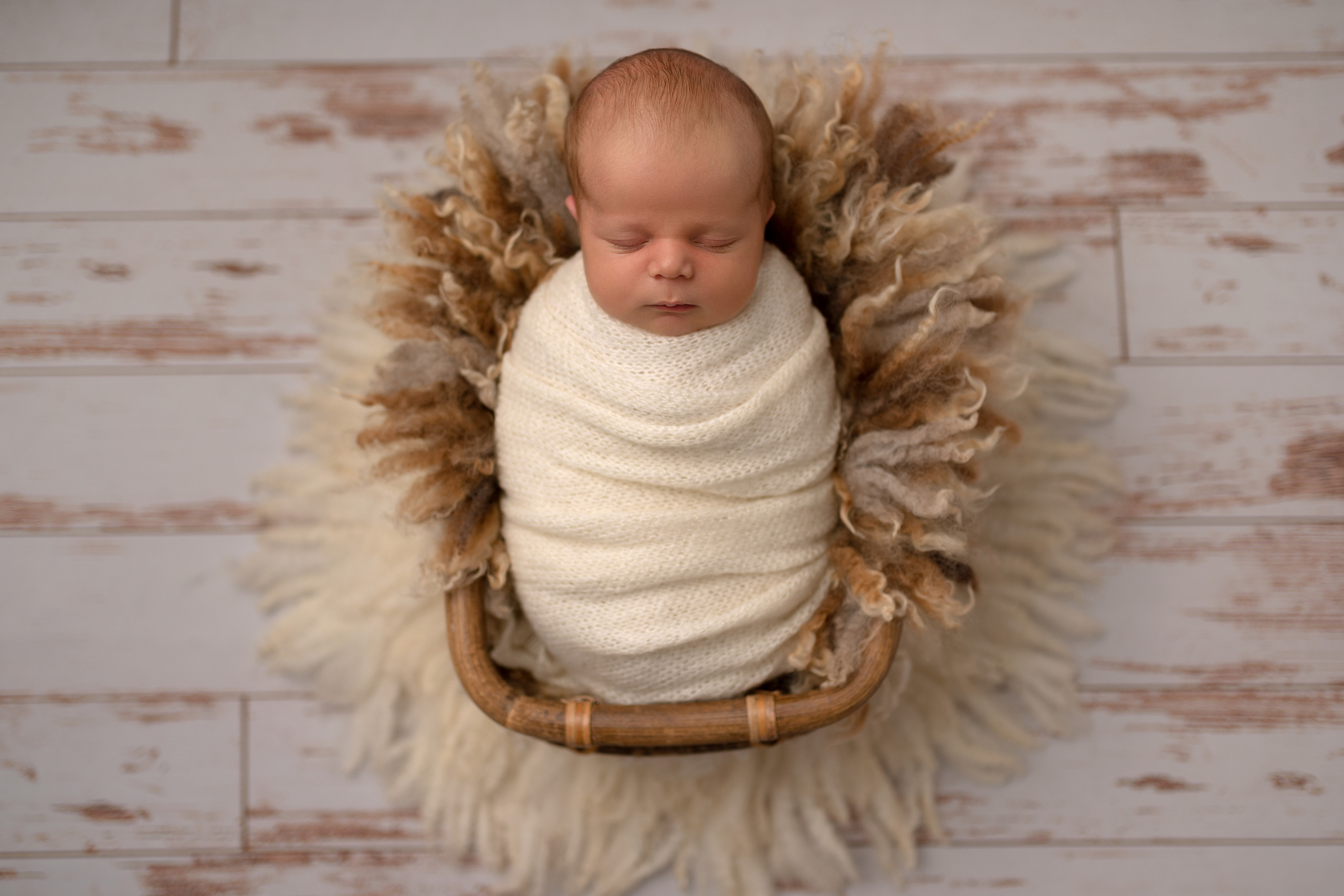 Studio newborn session. Newborn and family photographer. Hills District. Sydney