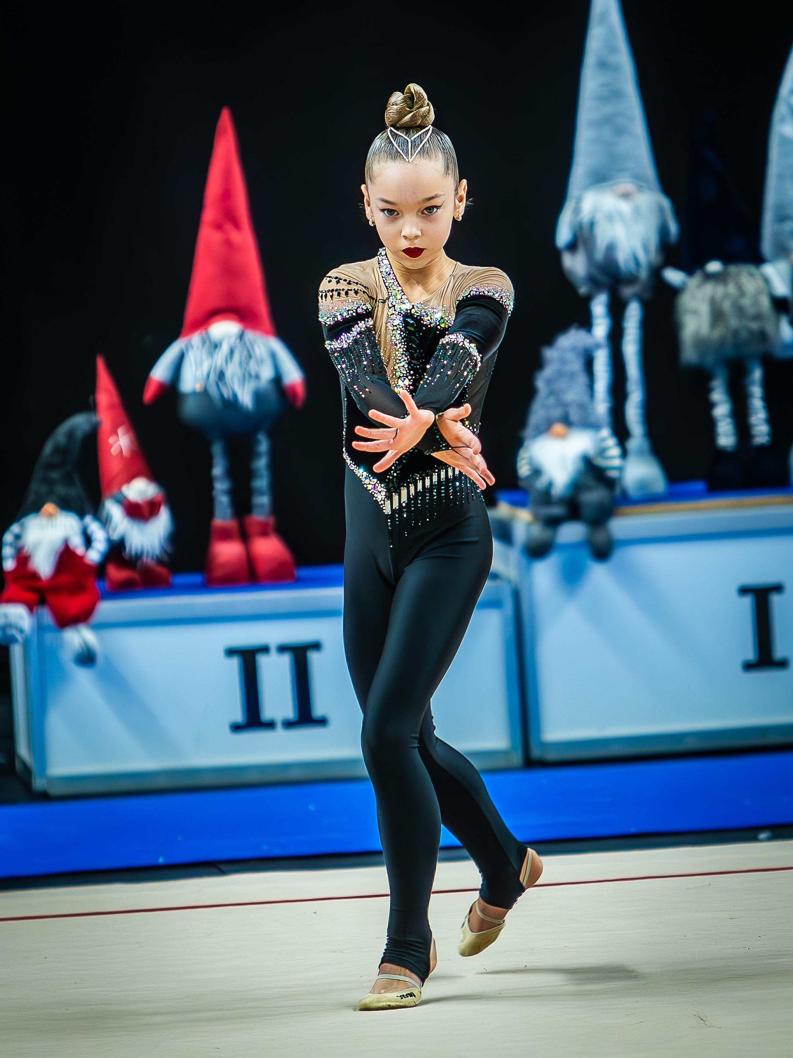 Галерея 1. Спортивная фотография, видео, трансляции