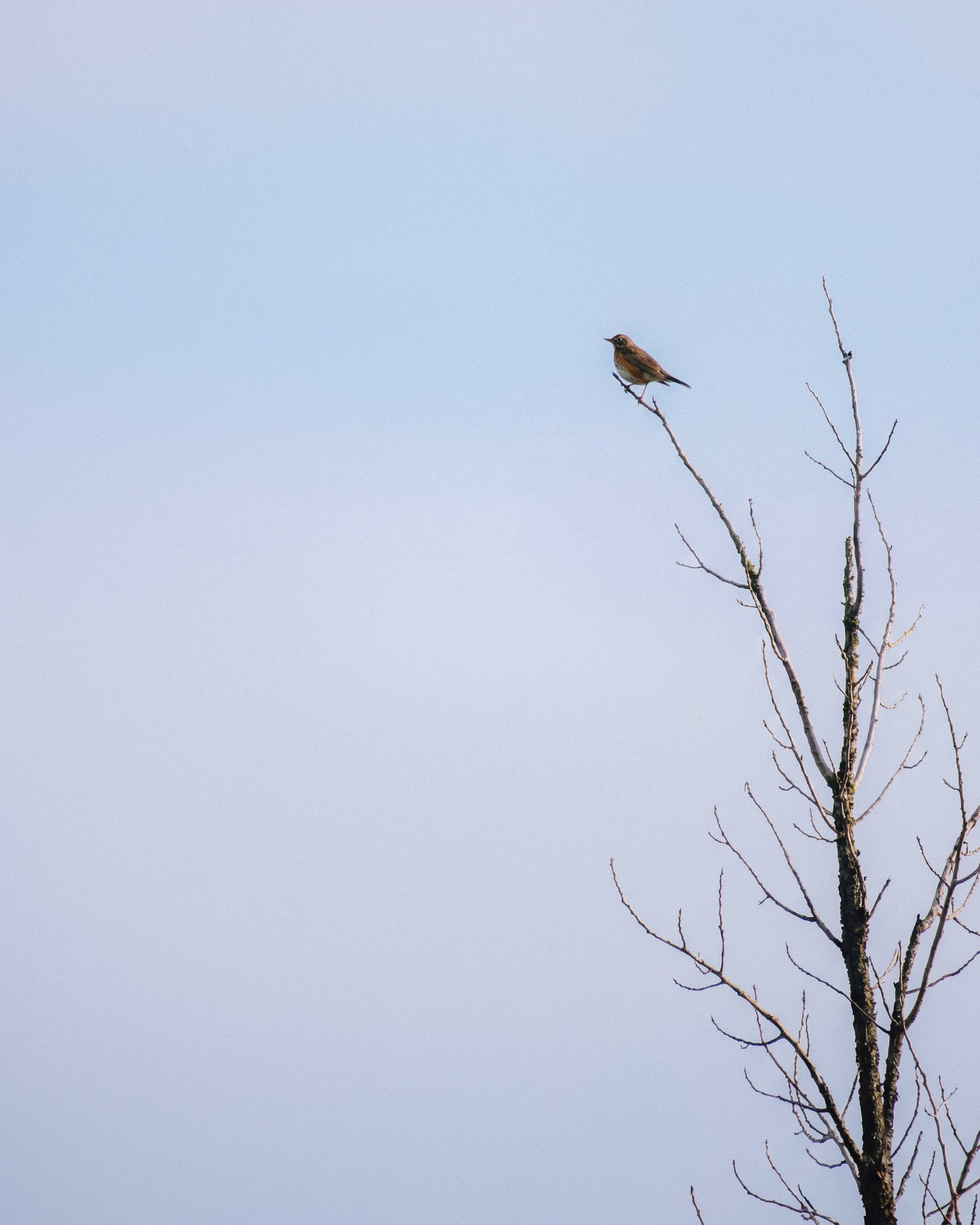 Photos of places around the World