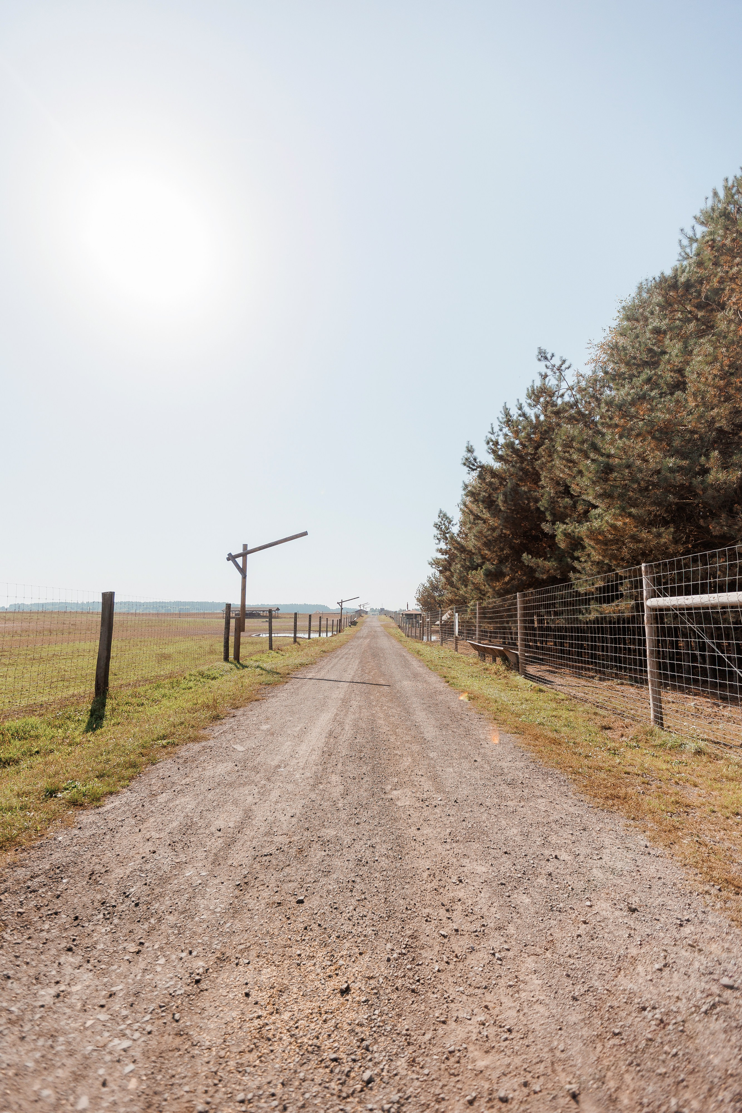 Екопарк Аміла. Ірина Терещук