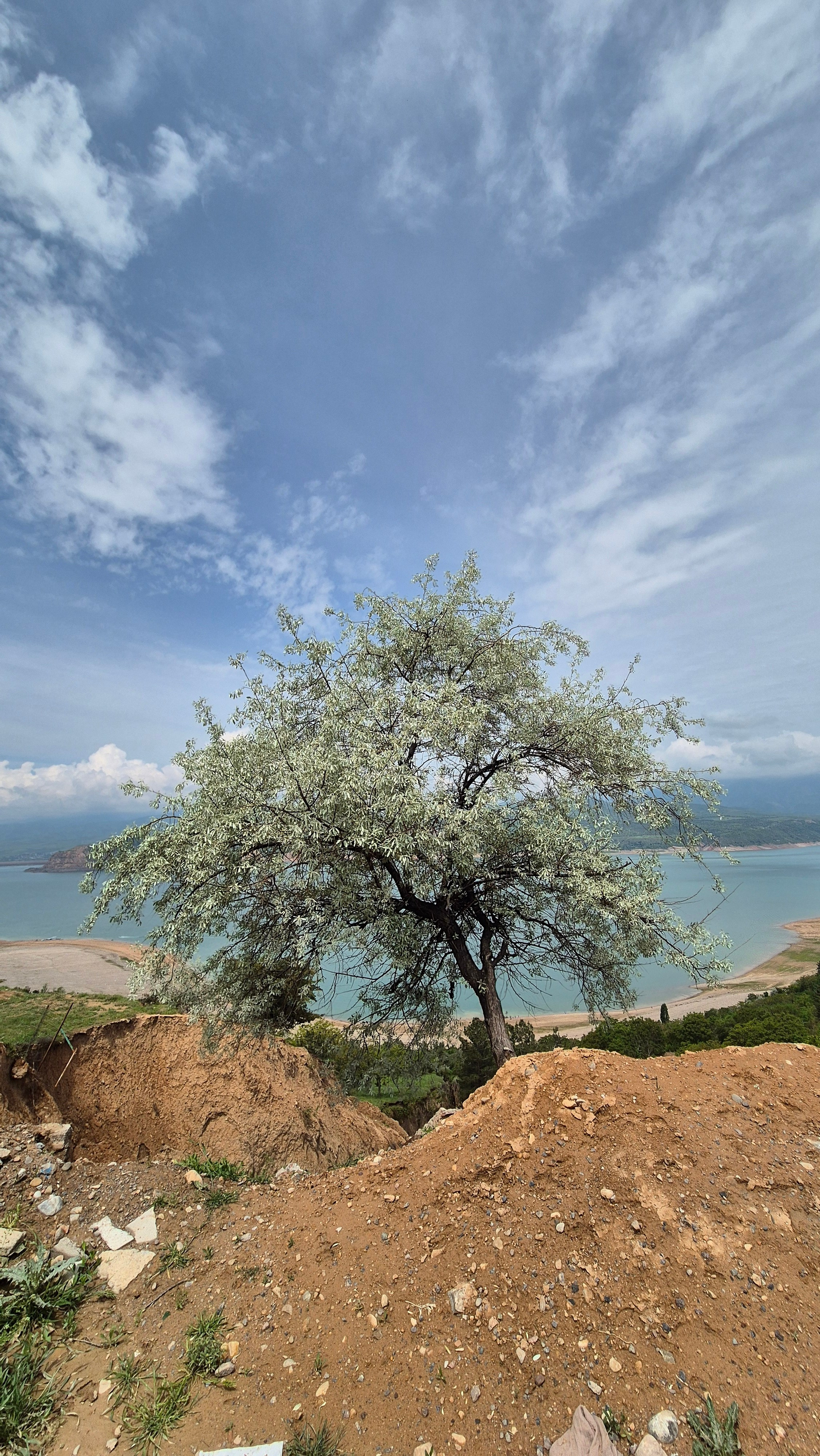 Uzbekistan 2024. Photographer Marina, city of Nuremberg