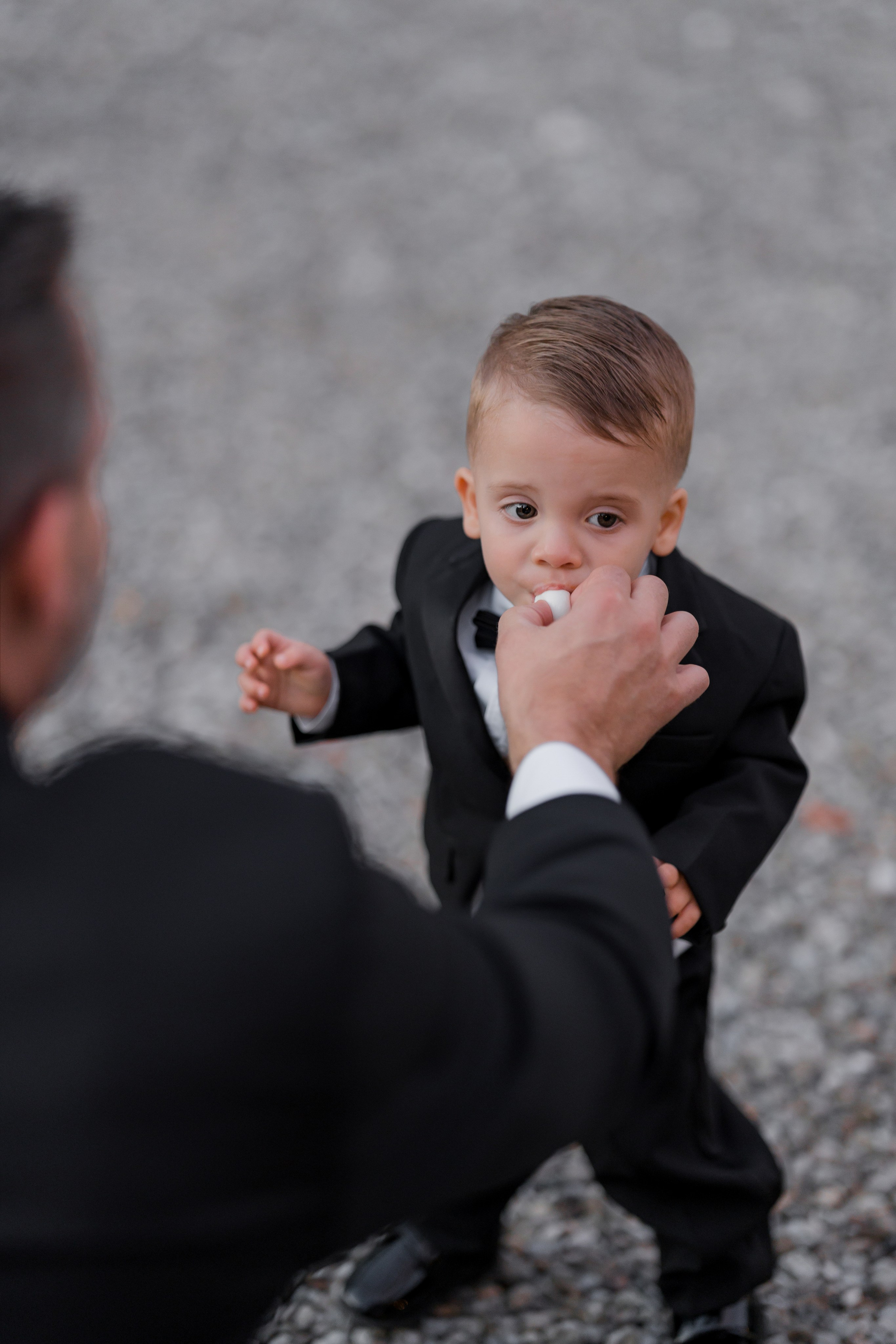 Dom&Ally. Весільний фотограф Вікторія Саврук