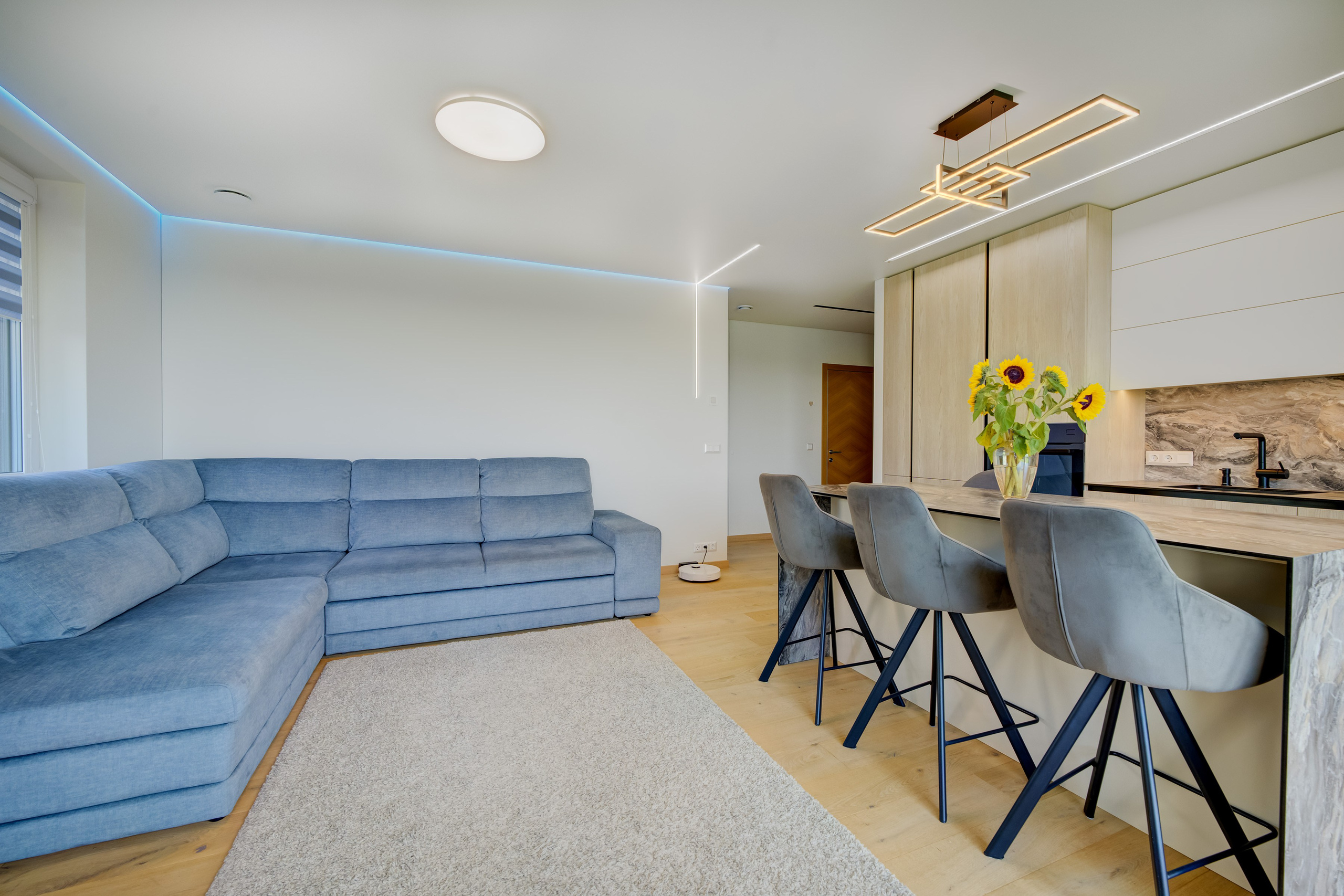 Gilužio g. 49, 2k. butas prie ežero. Elina Sapiega fotografė Vilniuje