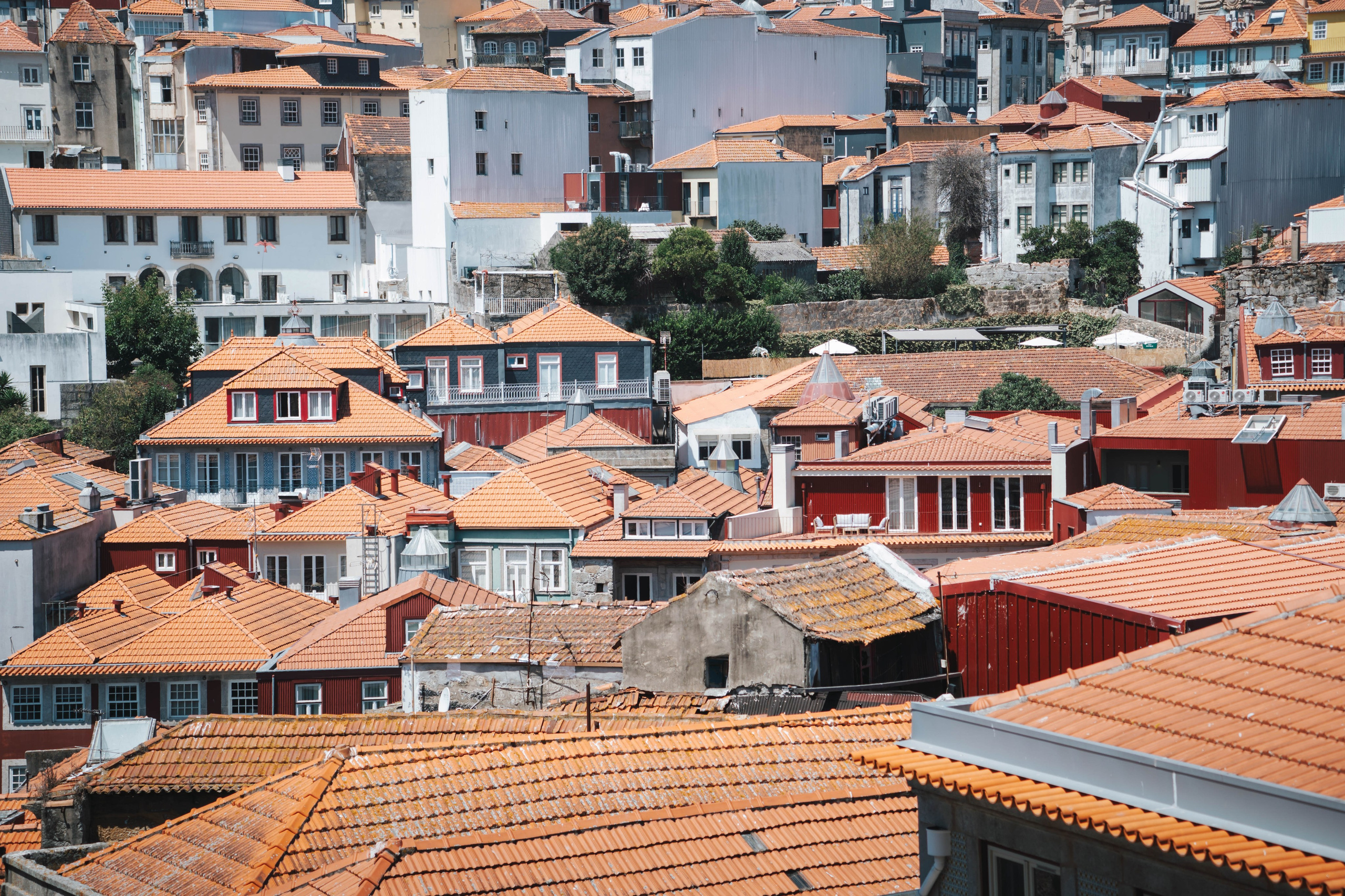 Porto, Agosto 2024. Alba del Norte Studio