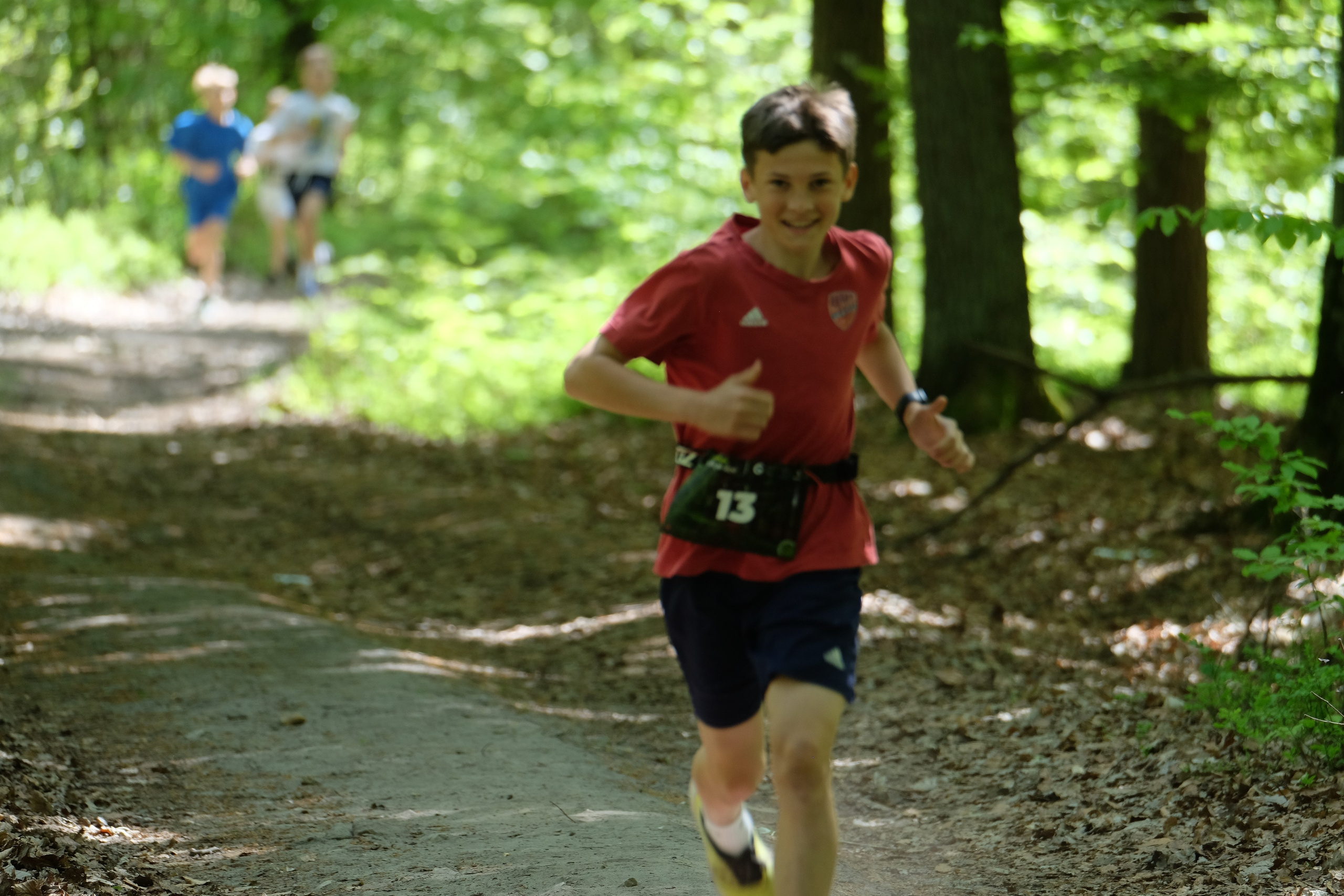 Aleksandryjska Piątka po lesie. Main