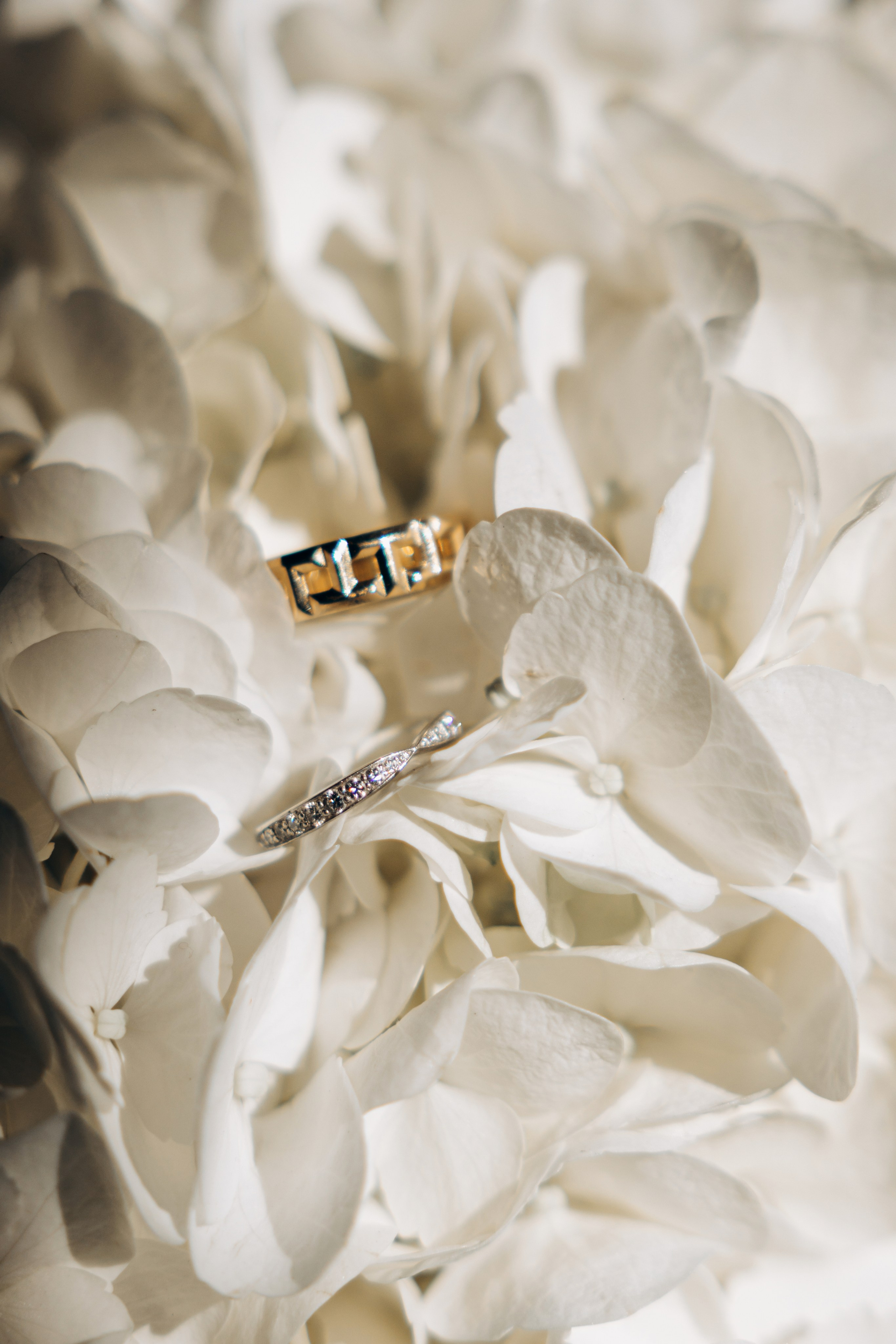 11/26. Wedding and family photographer San Diego