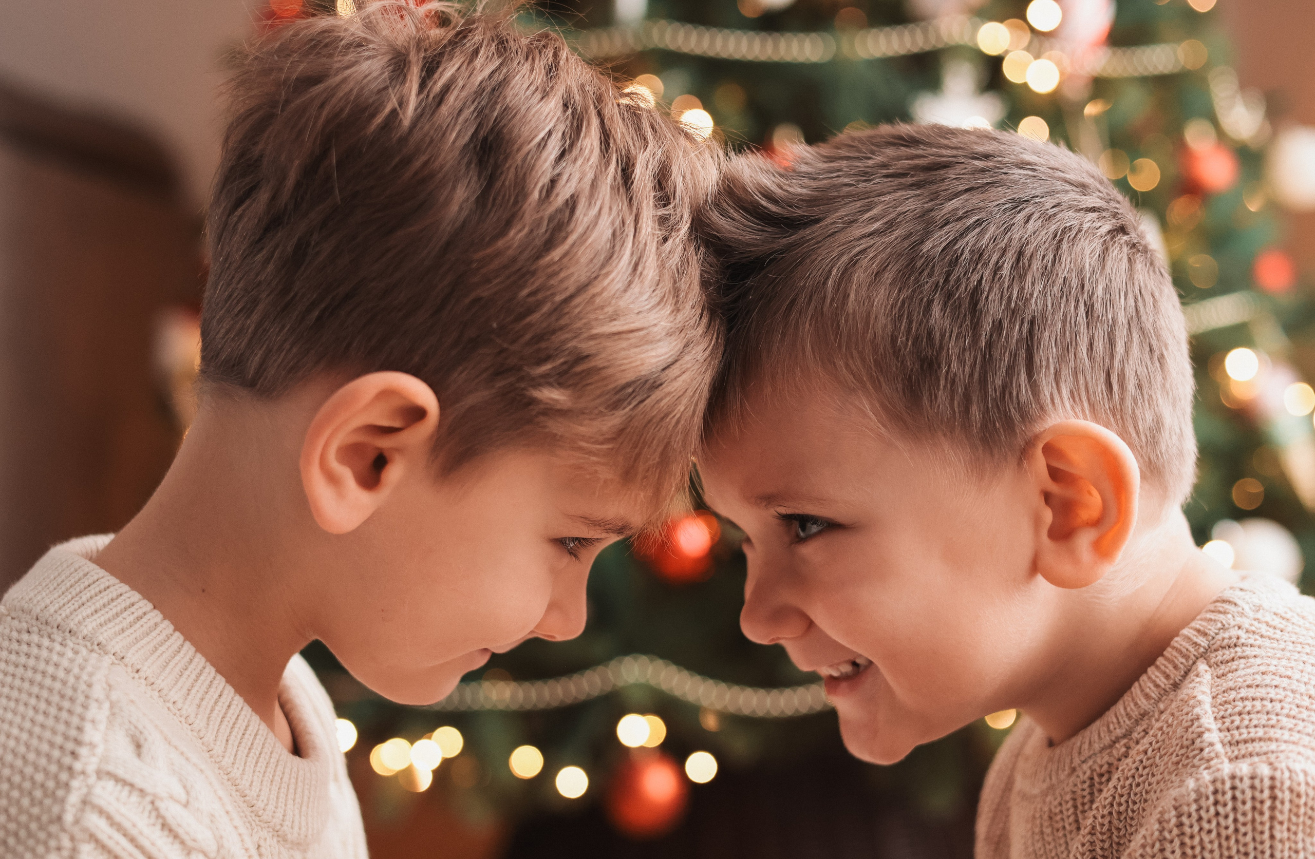 Christmas 2025. Eugenia Guryev Photography | Portrait & Family Photographer in Moncton, New Brunswick