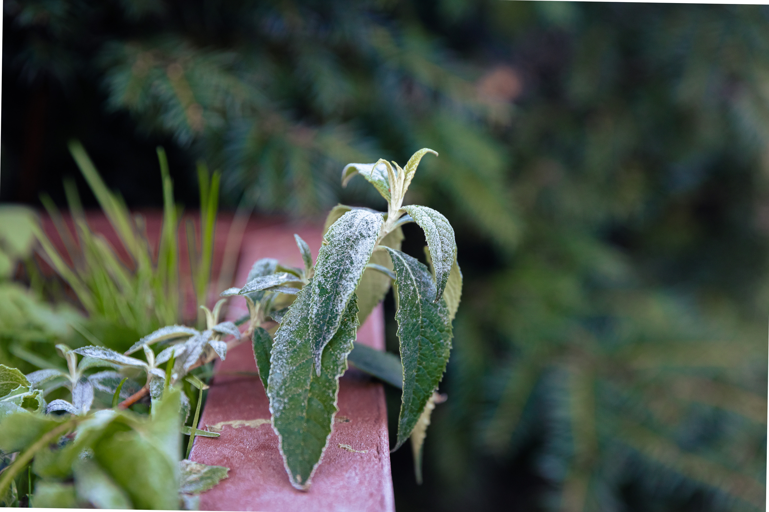Nature. Timeless Wedding & Event Photography from London to the world
