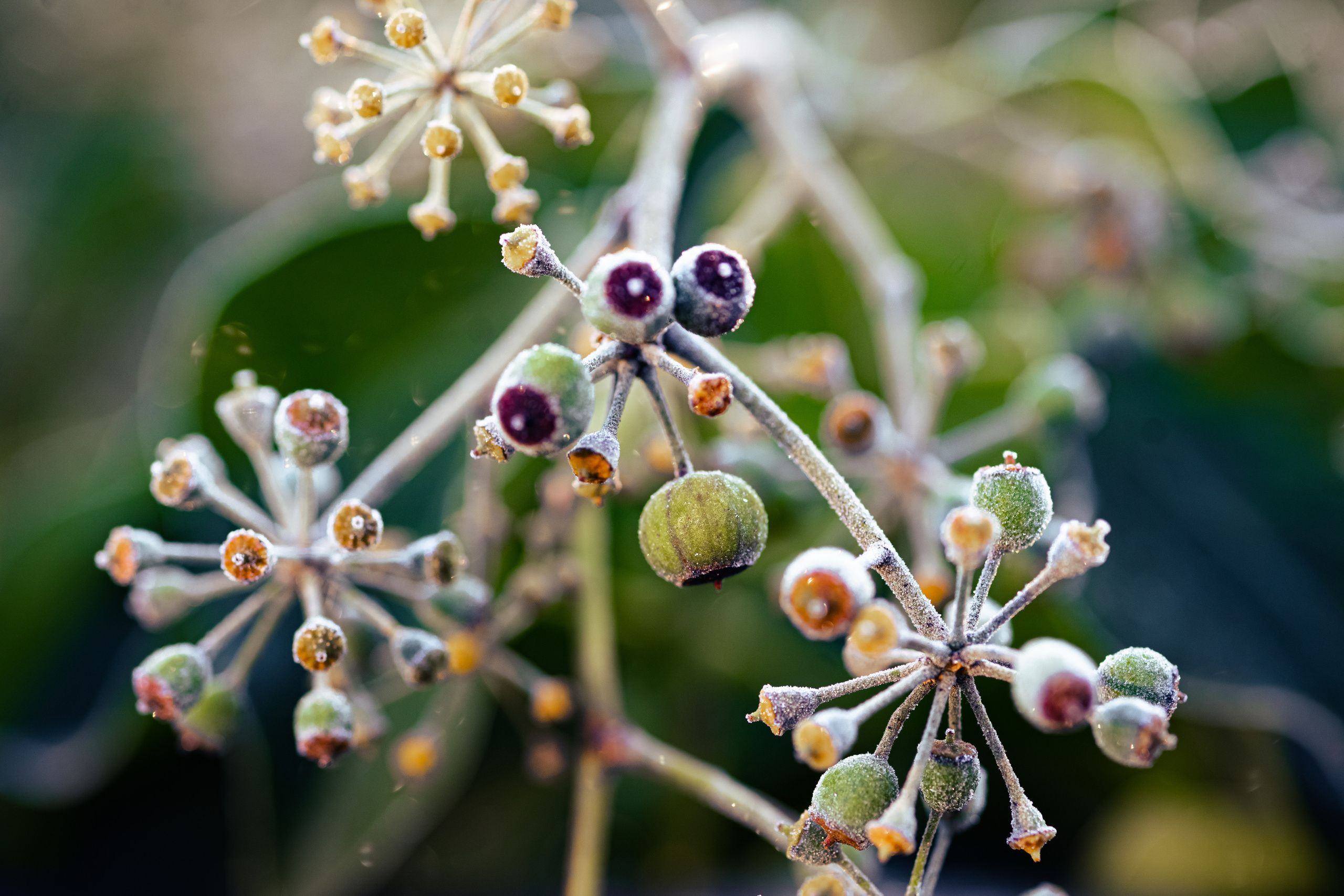 Nature. Timeless Wedding & Event Photography from London to the world