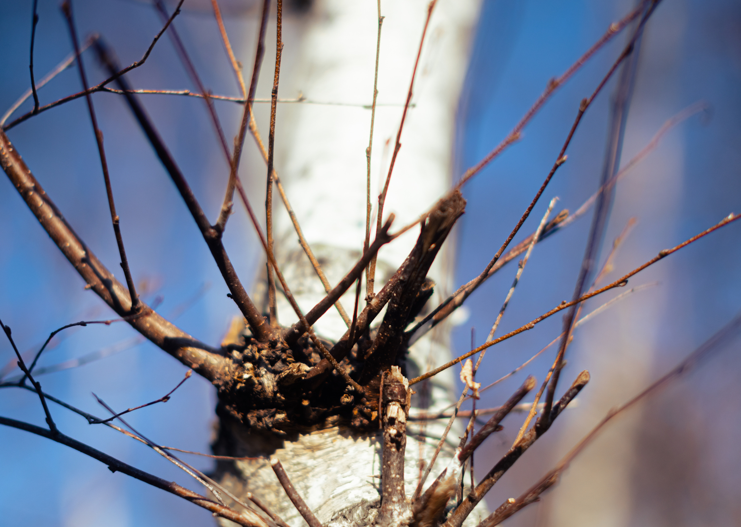 Nature. Timeless Wedding & Event Photography from London to the world