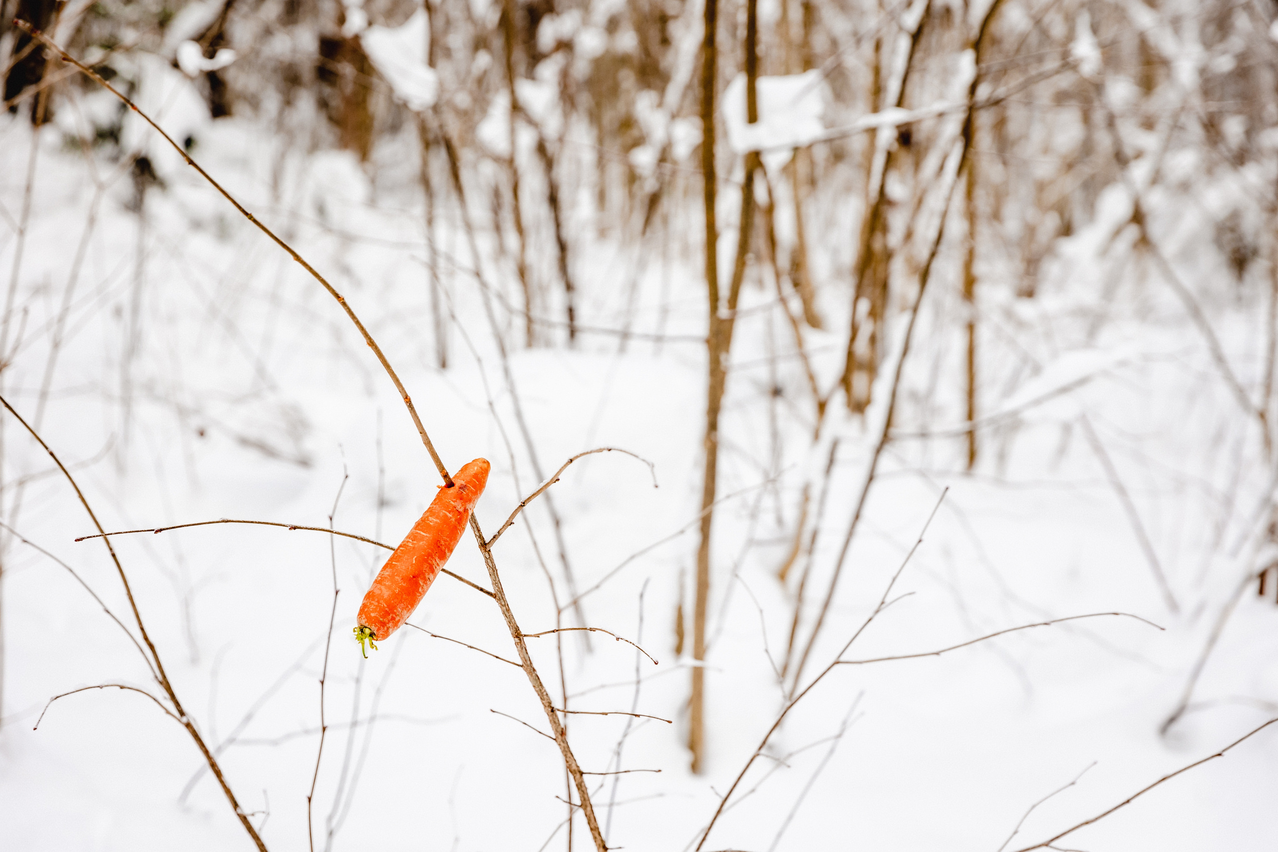 Christmas stories. Timeless Wedding & Event Photography — based London, working across Europe