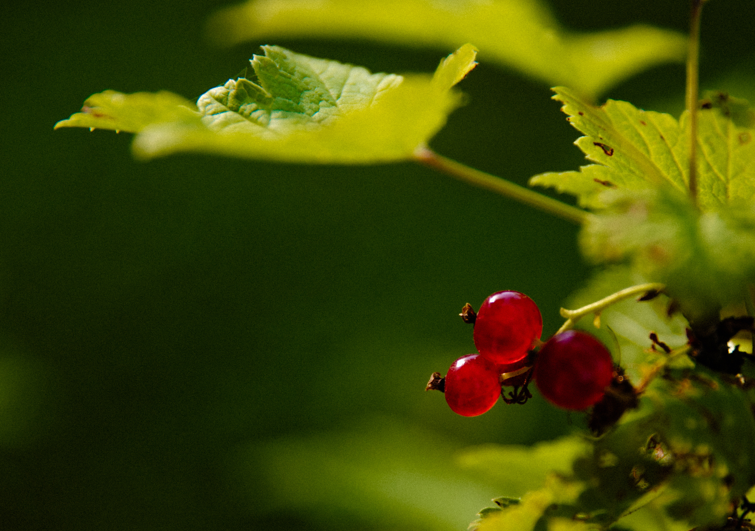 Portraits photoshoot — The power of women. Timeless Wedding & Event Photography from London to the world