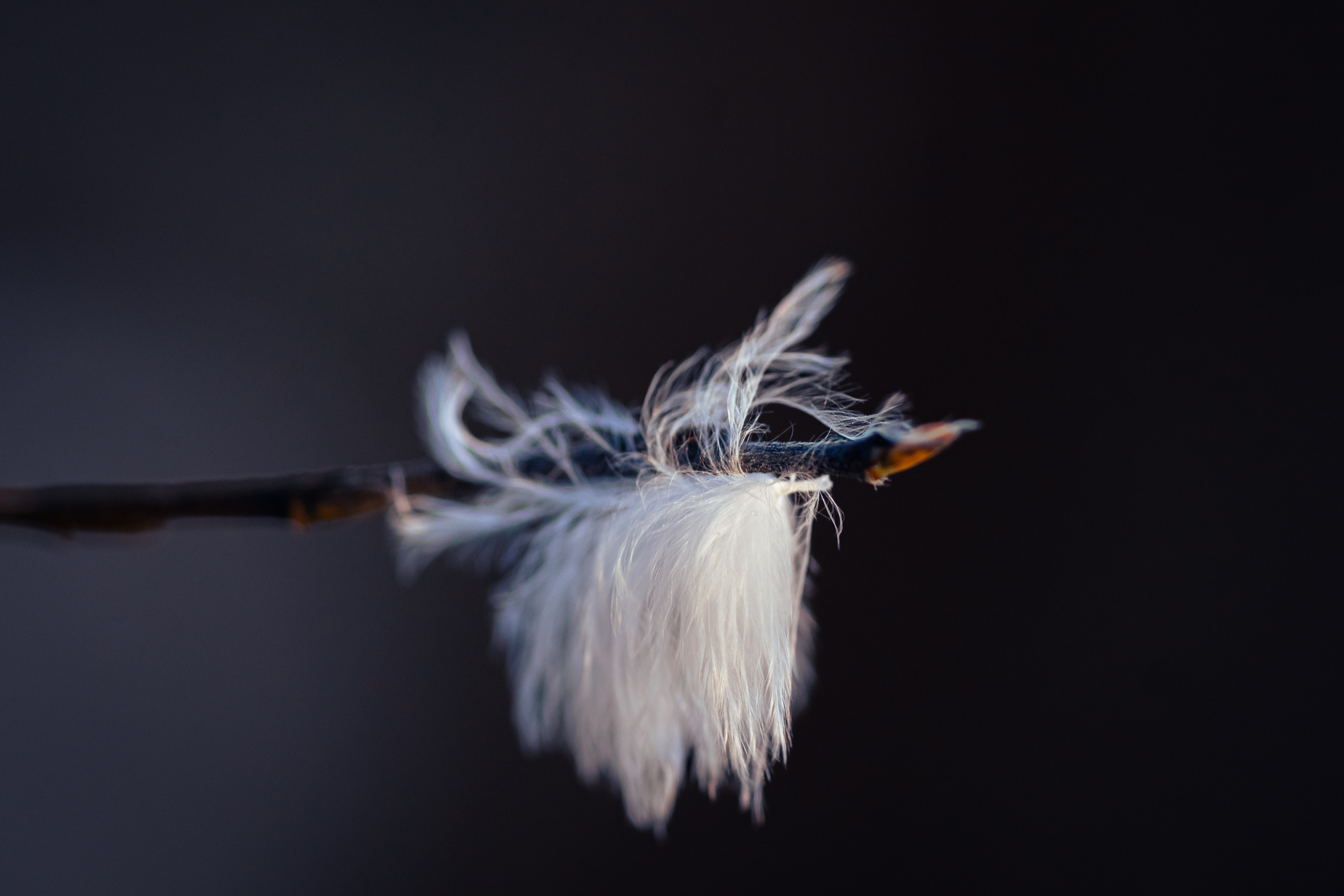 Nature. Timeless Wedding & Event Photography from London to the world