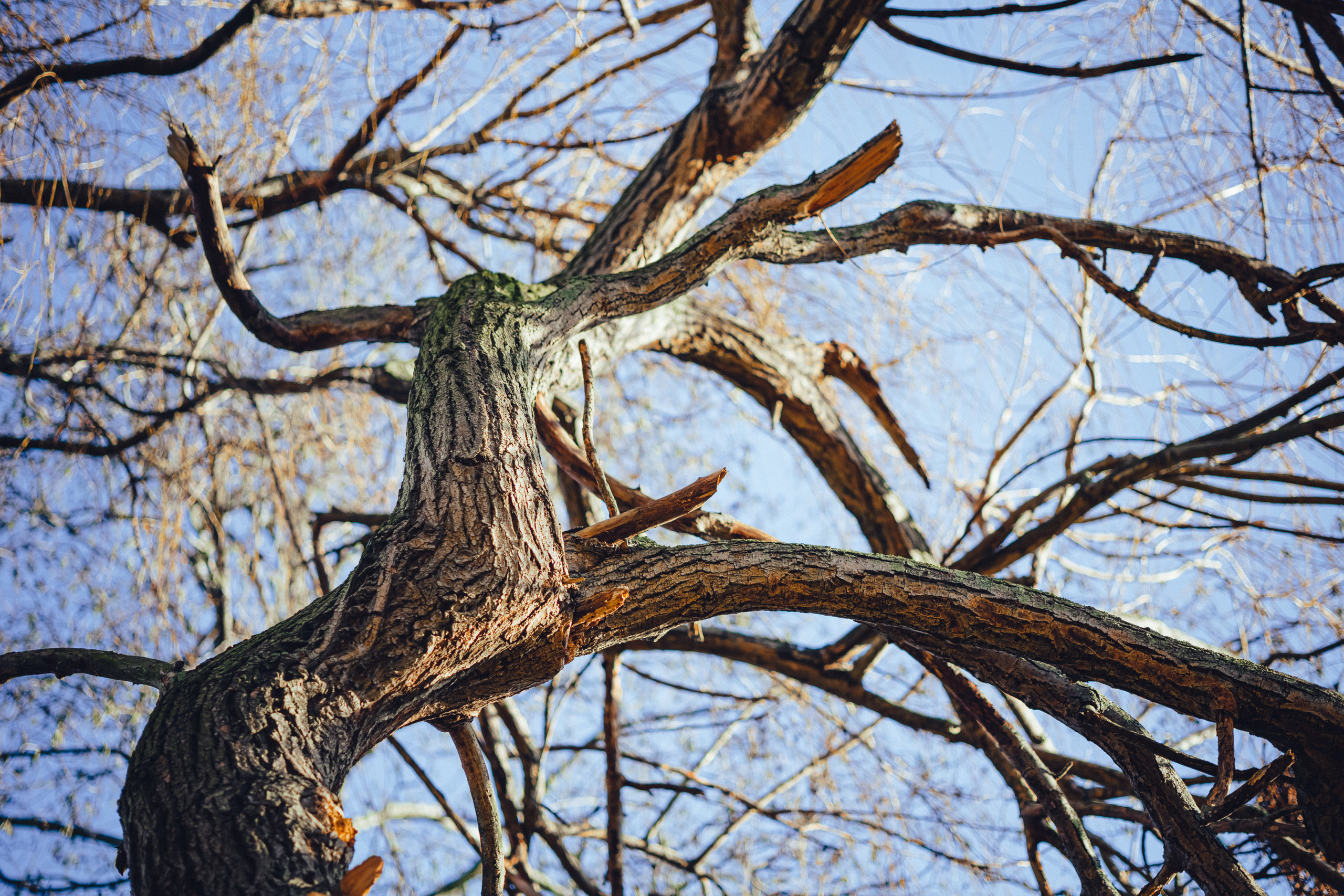 Nature. Timeless Wedding & Event Photography from London to the world