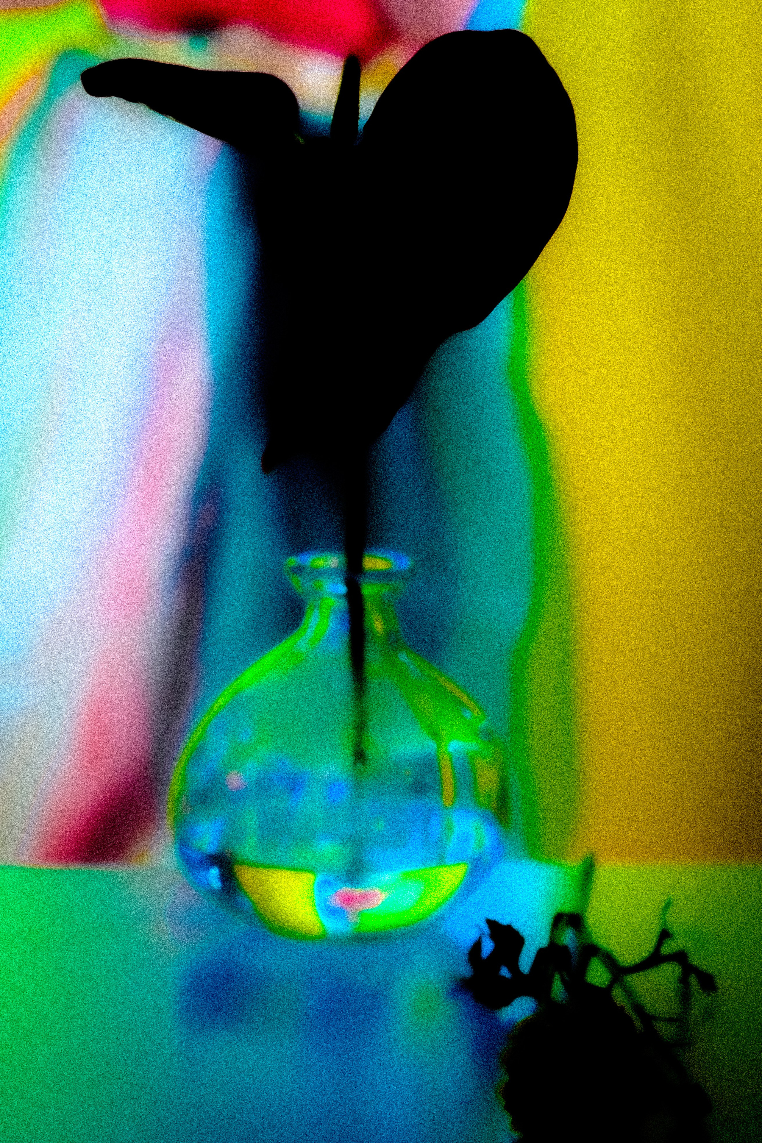 KRISTIN　PROJECT. Anna Miyauchi