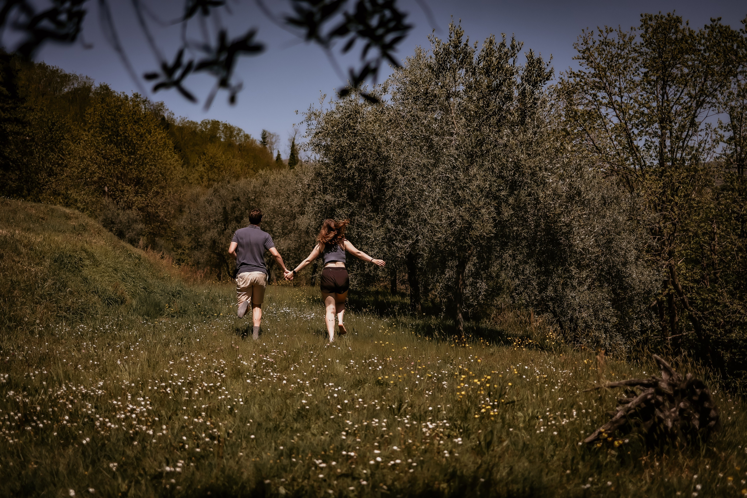 Golden Days in Tuscany. Photographer Co Dublin, Balbriggan — Agata Maliseva