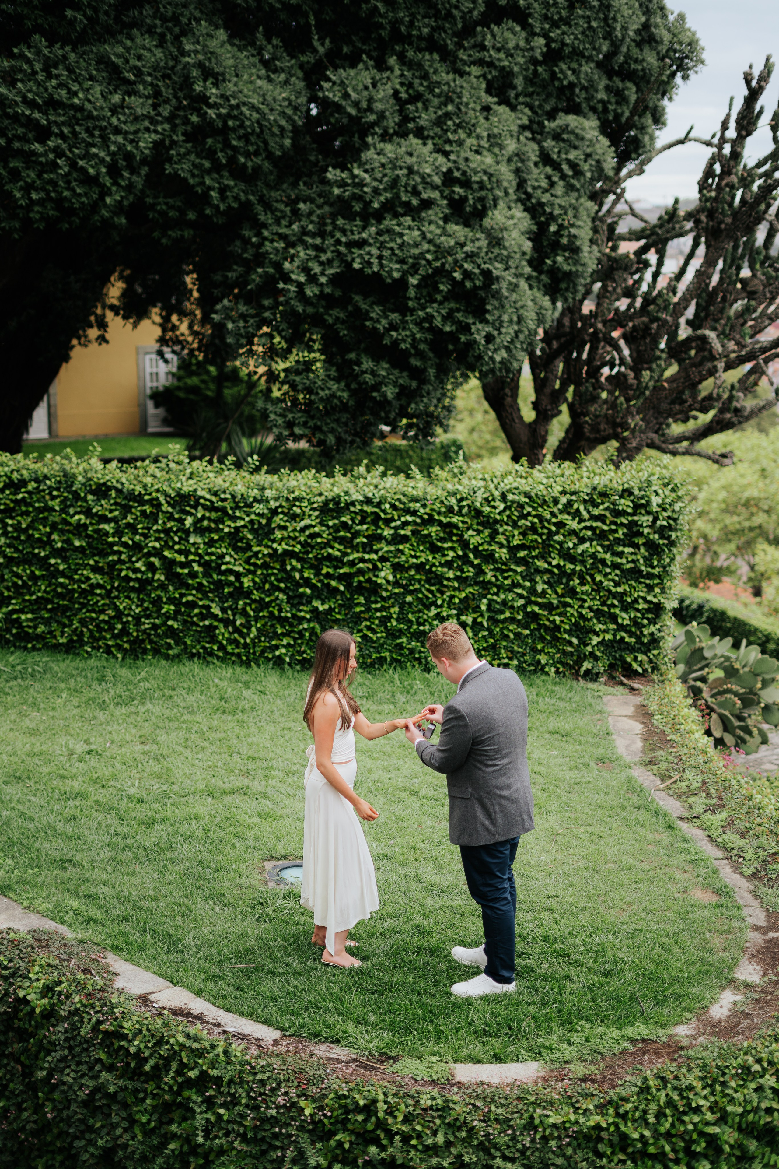 Wedding Proposal Aaron. Davi Valente