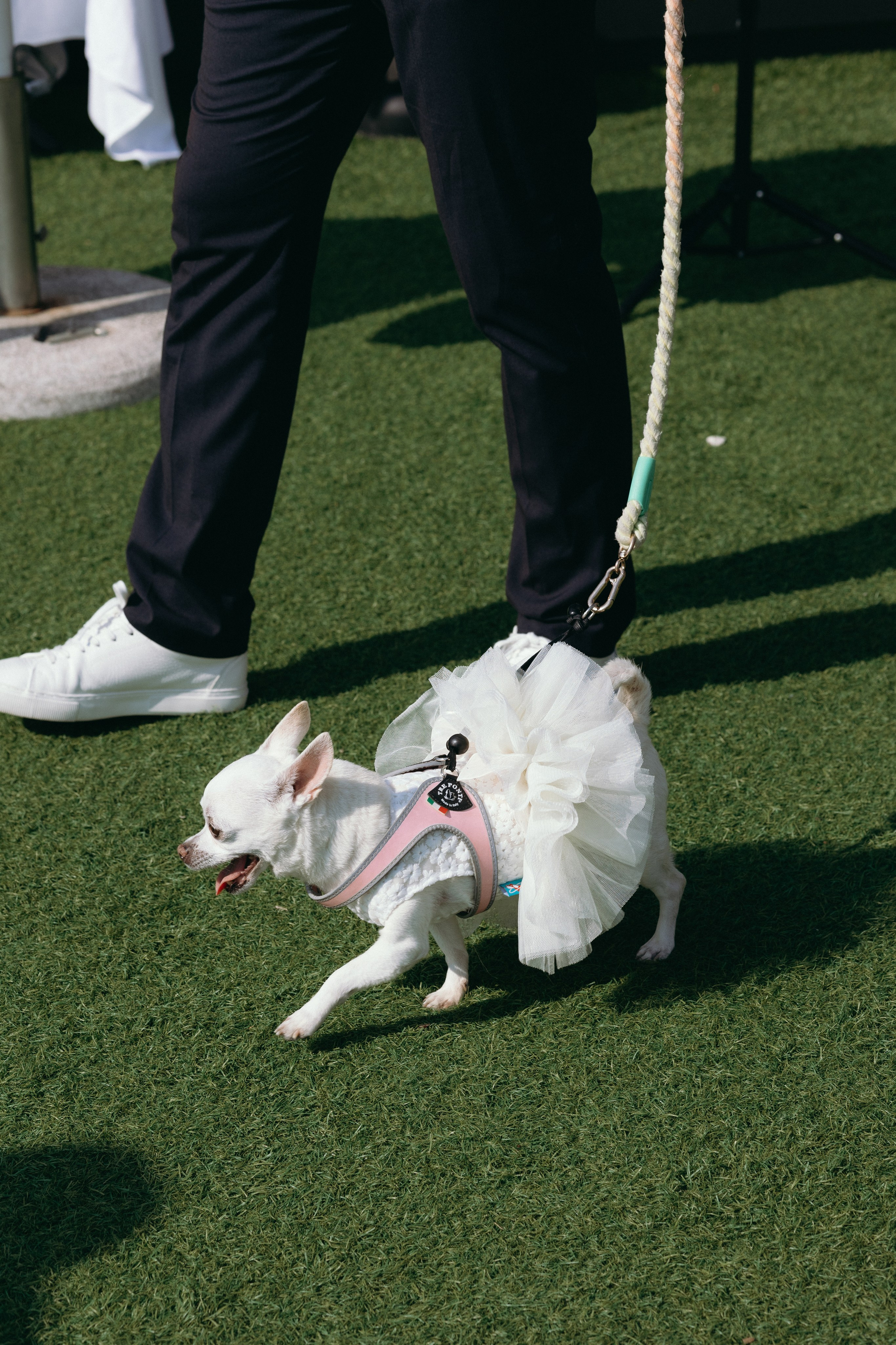 Denys & Armine. Wedding photographer in Italy