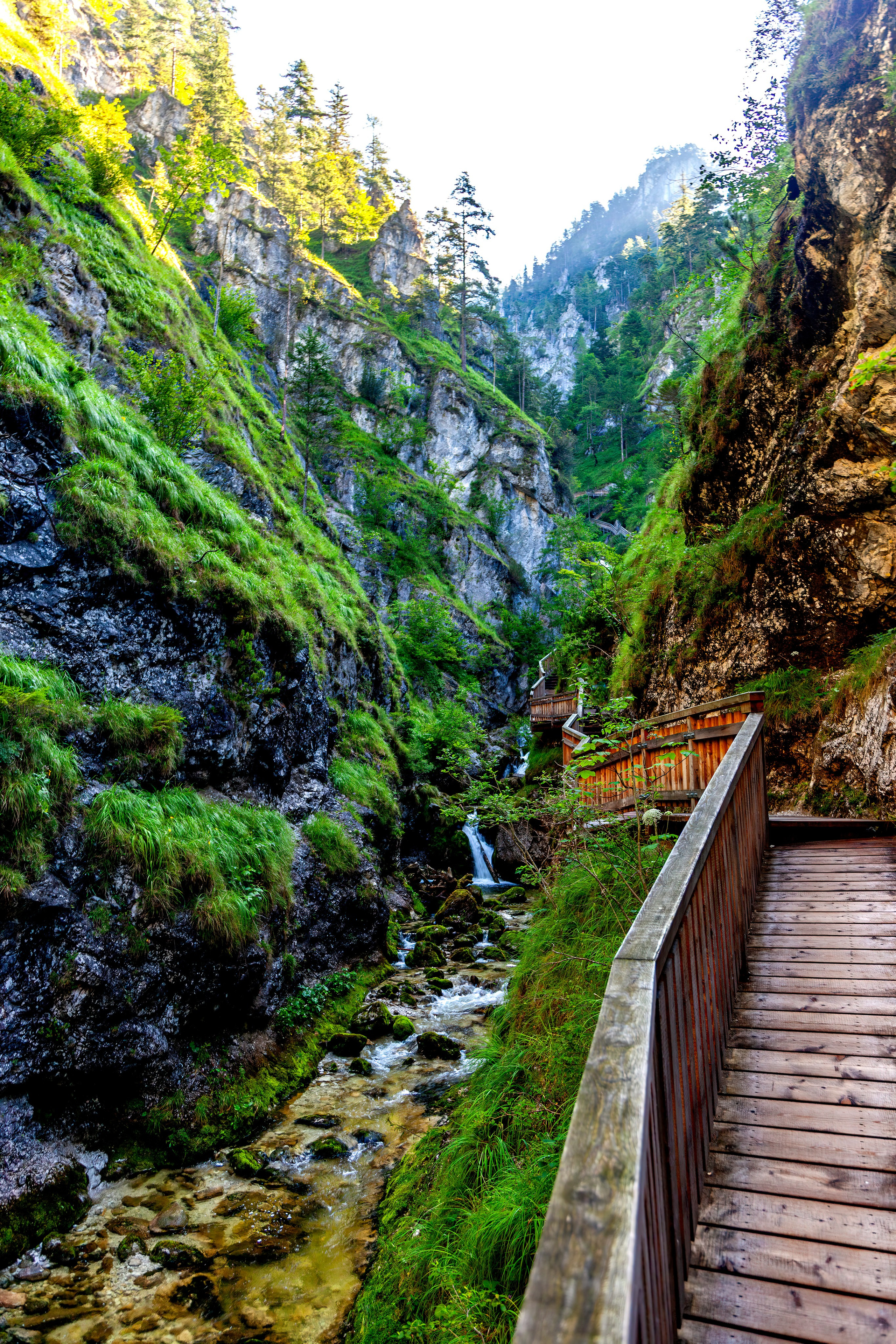 193.Wasserloch Klamm.Palfau.18.8.2025. Путешествия в формате 360......