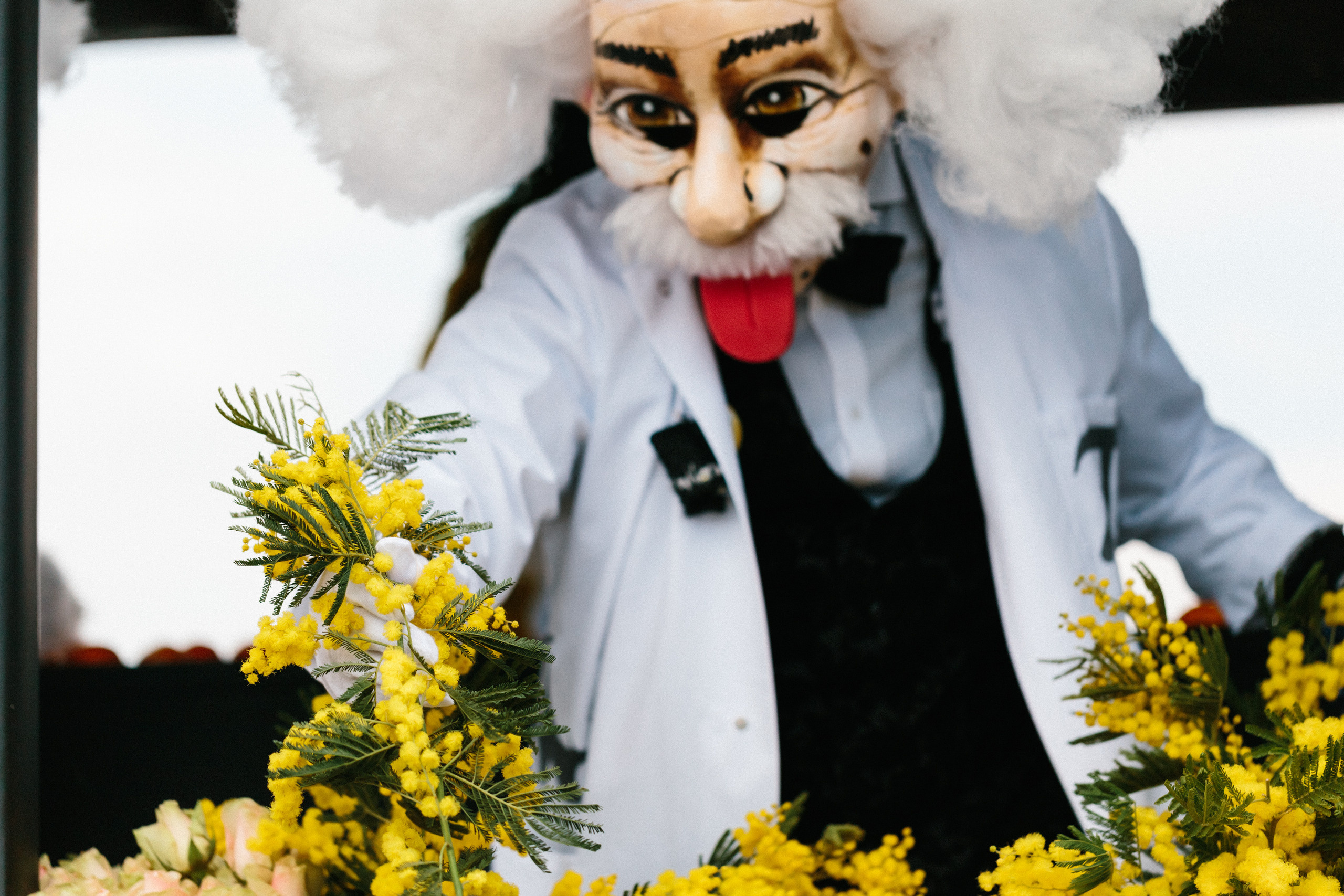 Карнавал в Базеле — Basler Fastnacht. Фотограф в Германии — Мария Чистякова