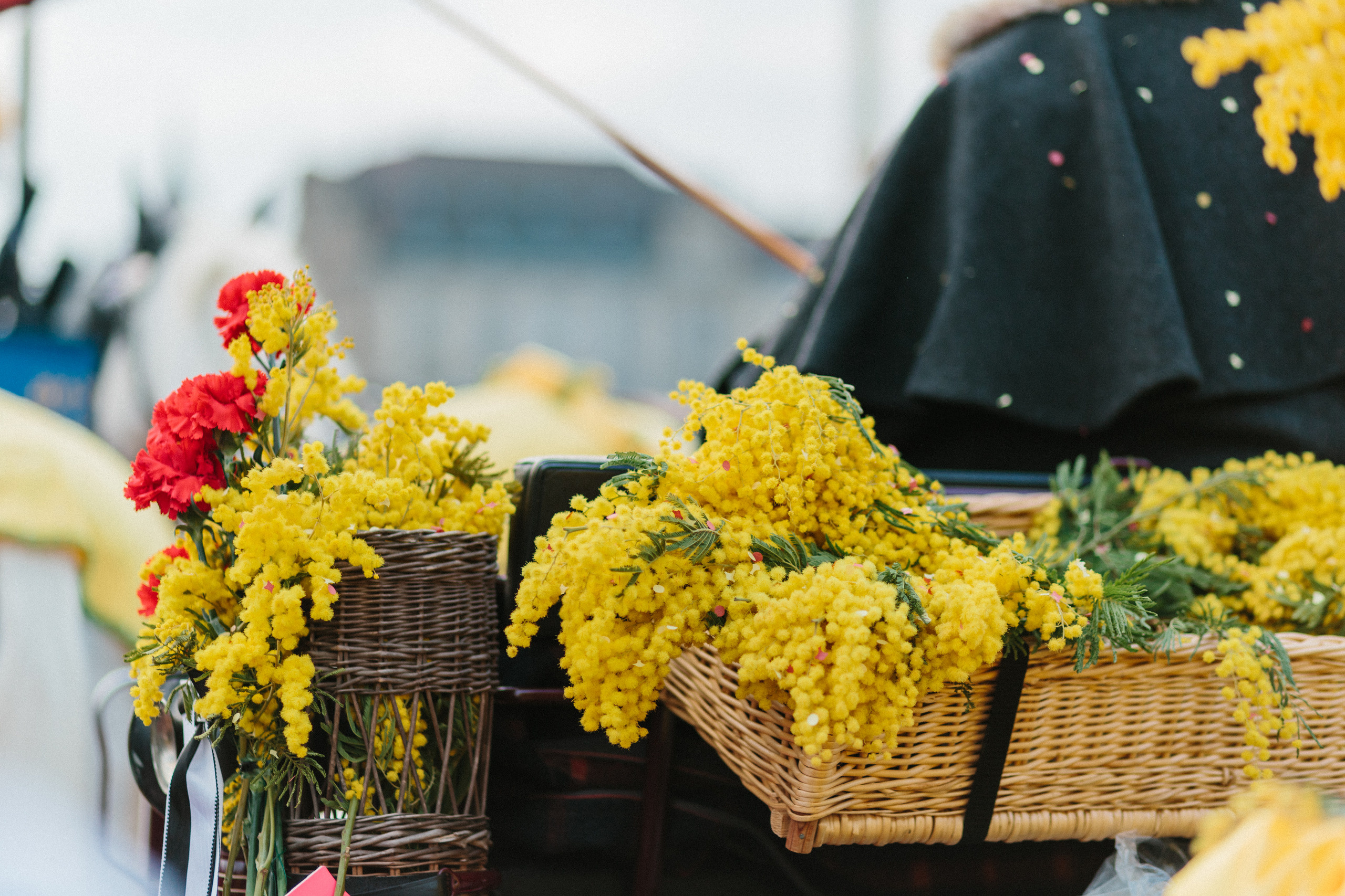 Карнавал в Базеле — Basler Fastnacht. Фотограф в Германии — Мария Чистякова