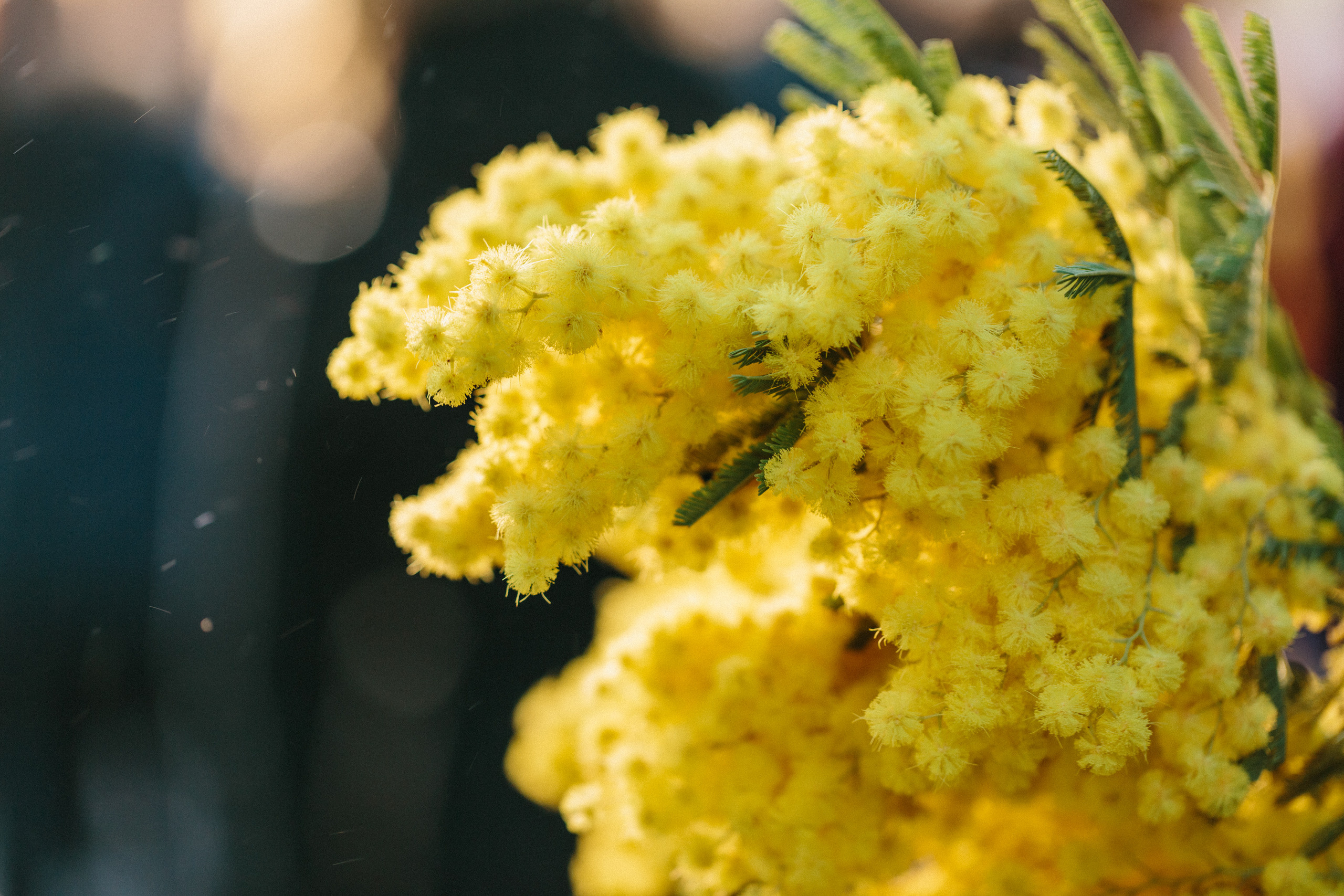 Карнавал в Базеле — Basler Fastnacht. Фотограф в Германии — Мария Чистякова