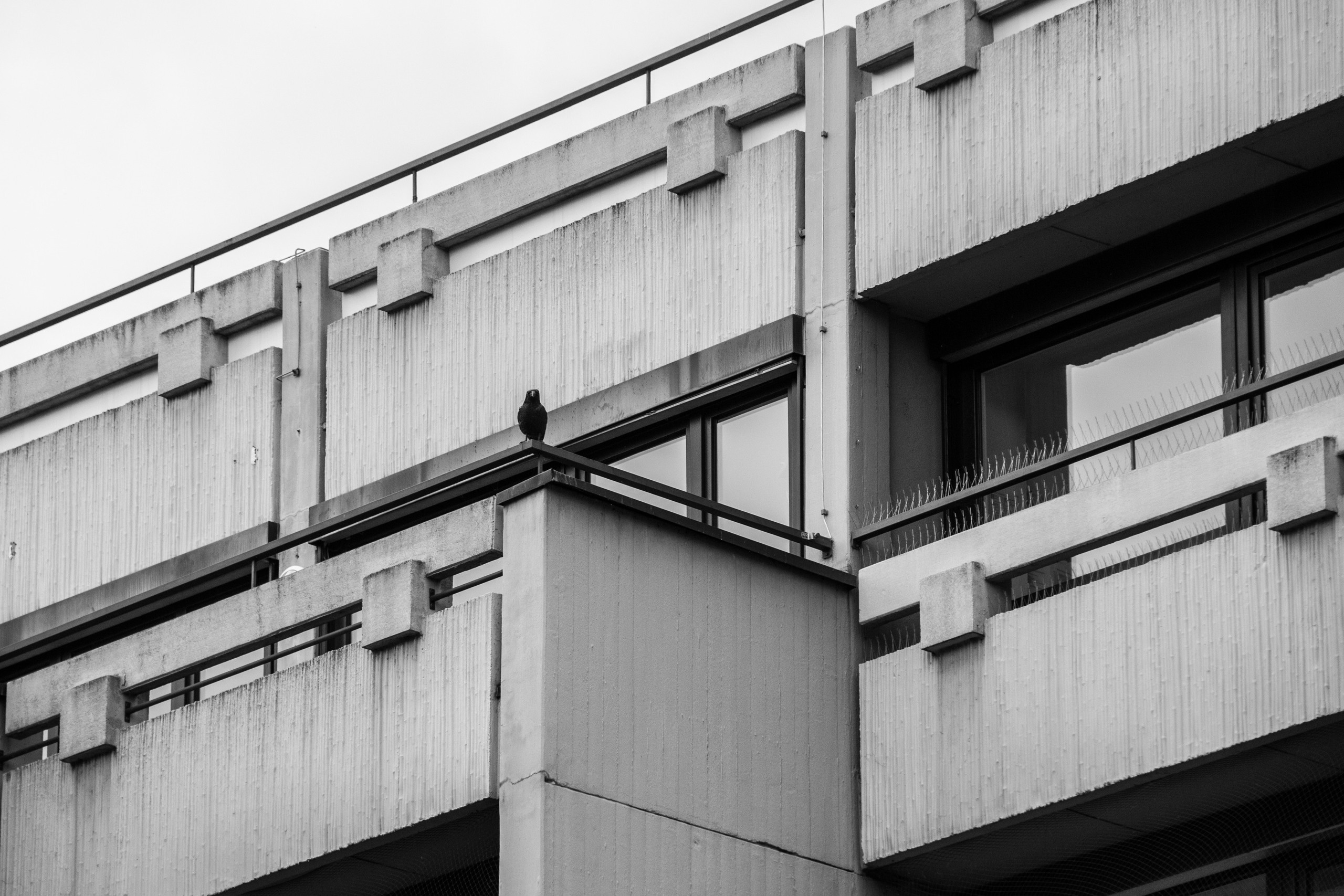 Пфорцхайм и архитектура «послевоенного модерна». Фотограф в Германии — Мария Чистякова