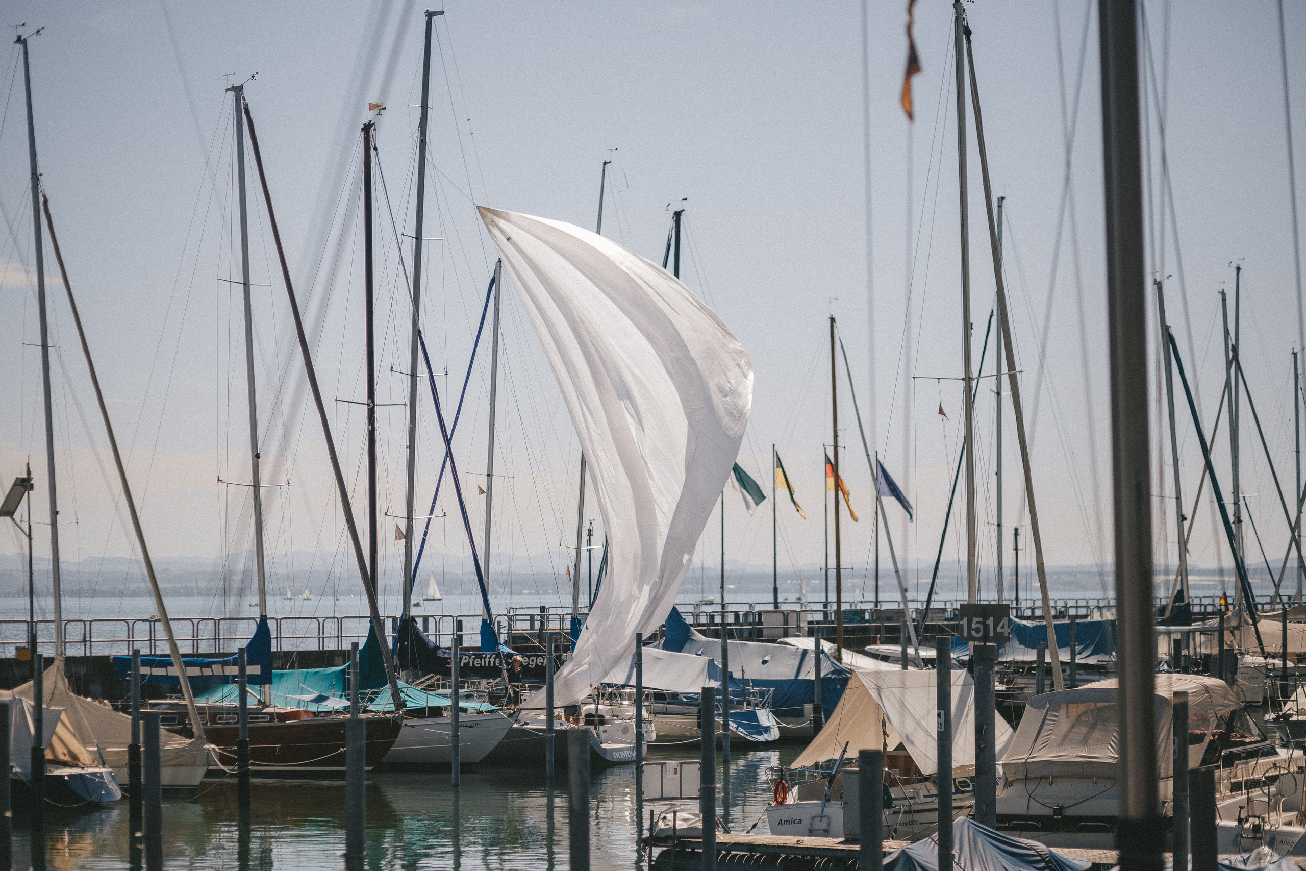 Фридрихсхафен в июле. Фотограф в Германии — Мария Чистякова