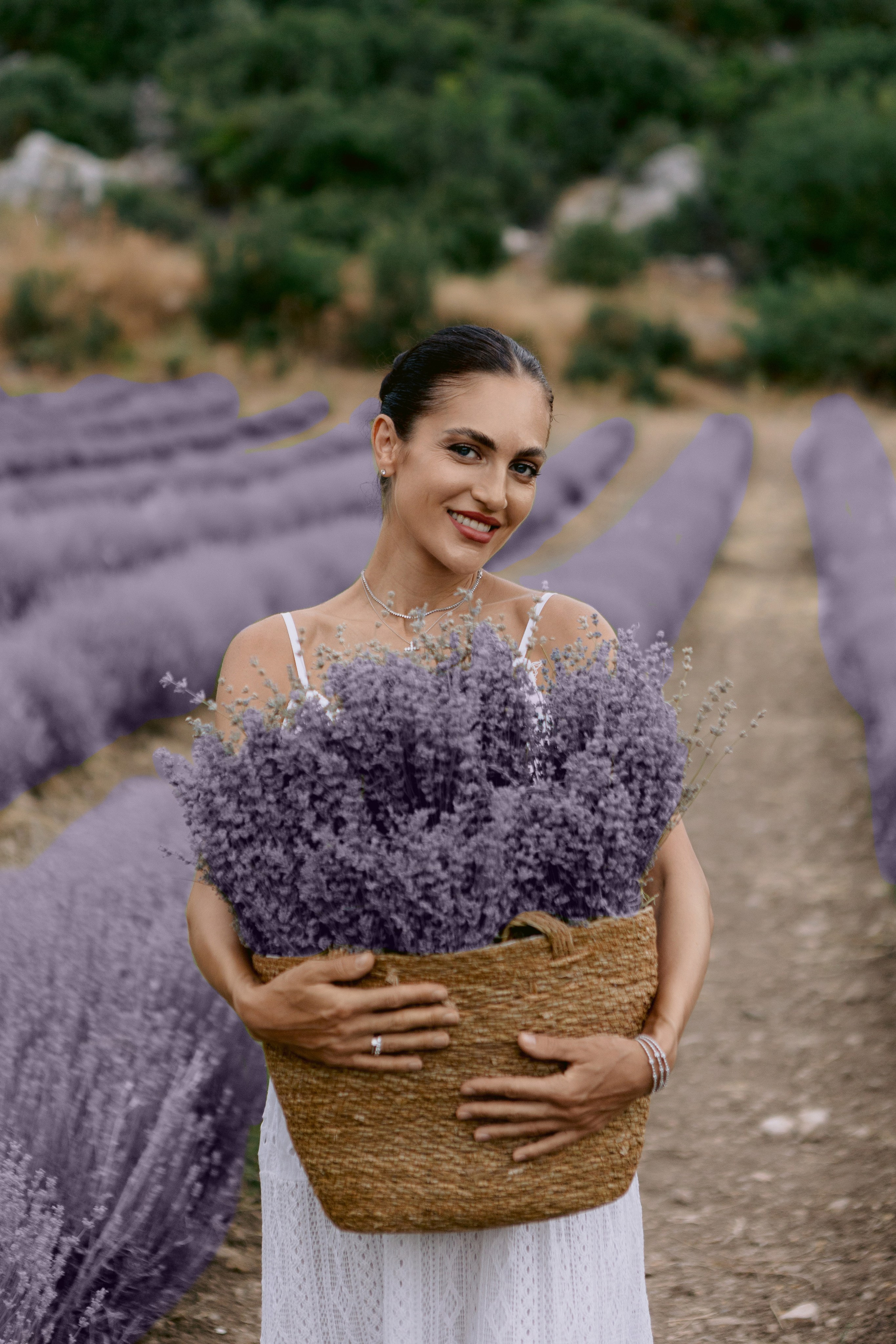 Лаванда. Фотограф в Анталии, Кемере и Белеке