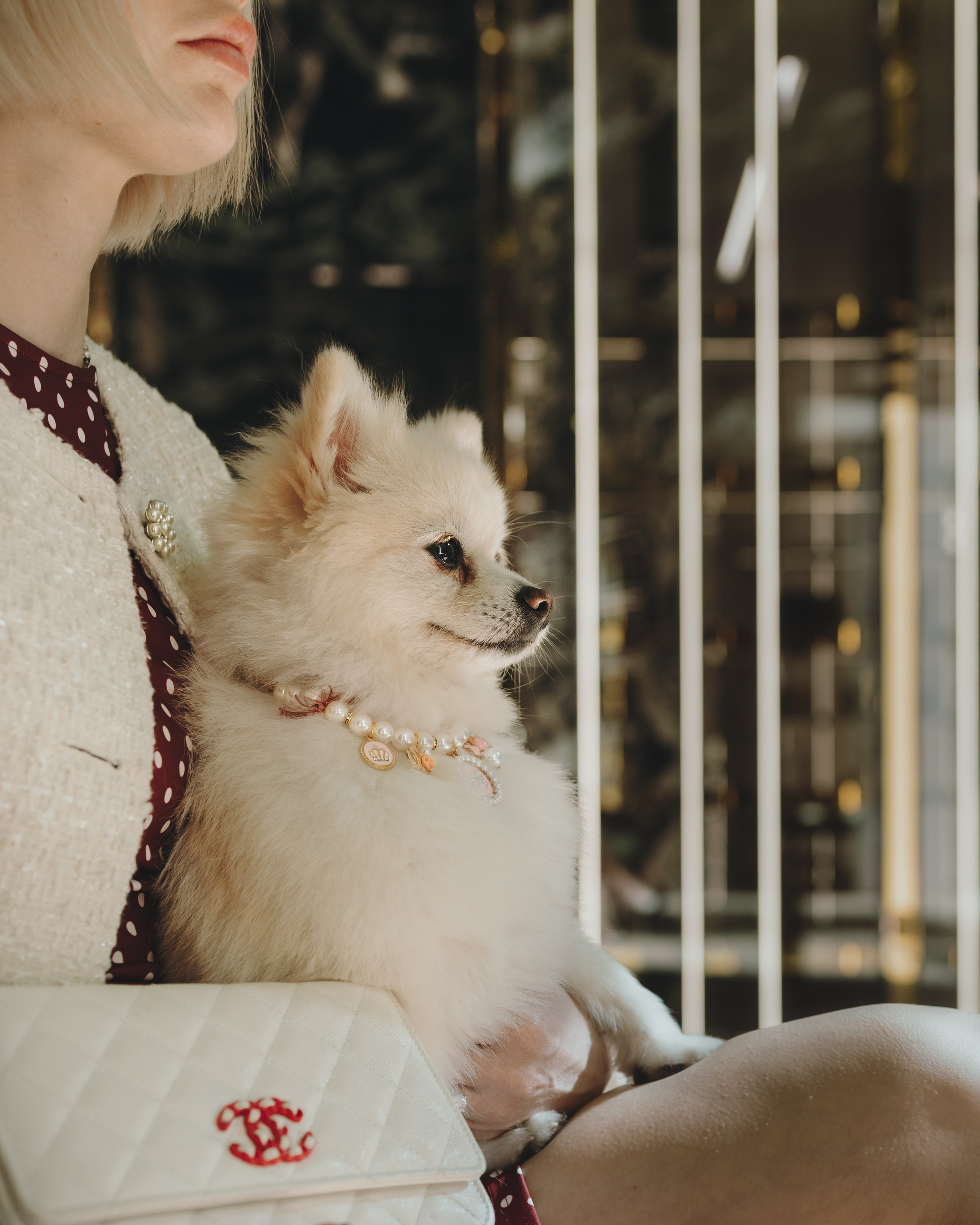 Lexy & Tatiana. Pet Photographer Viktoriya Aleshenko