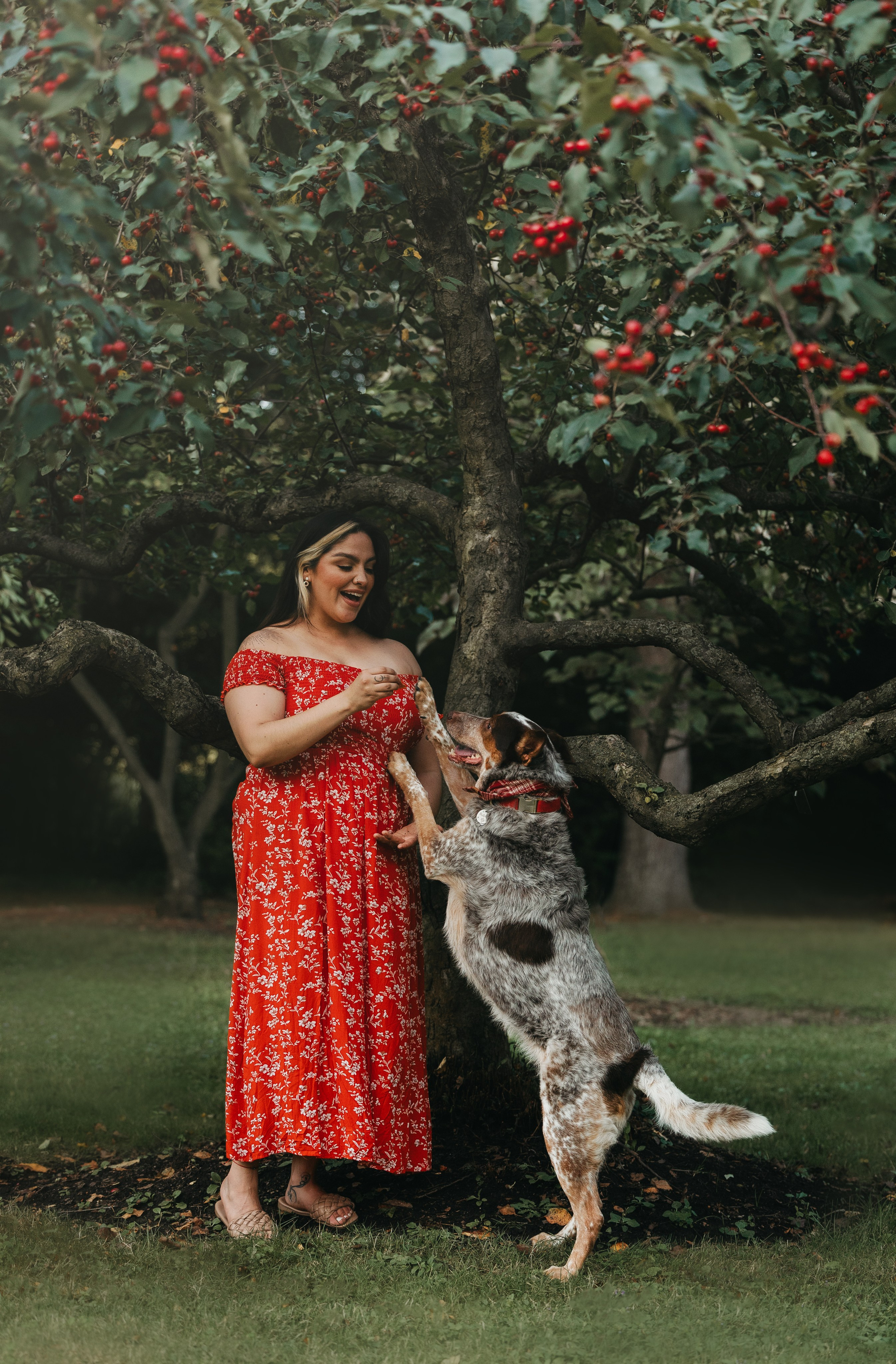 Rubee & Luisa. Pet Photographer Viktoriya Aleshenko