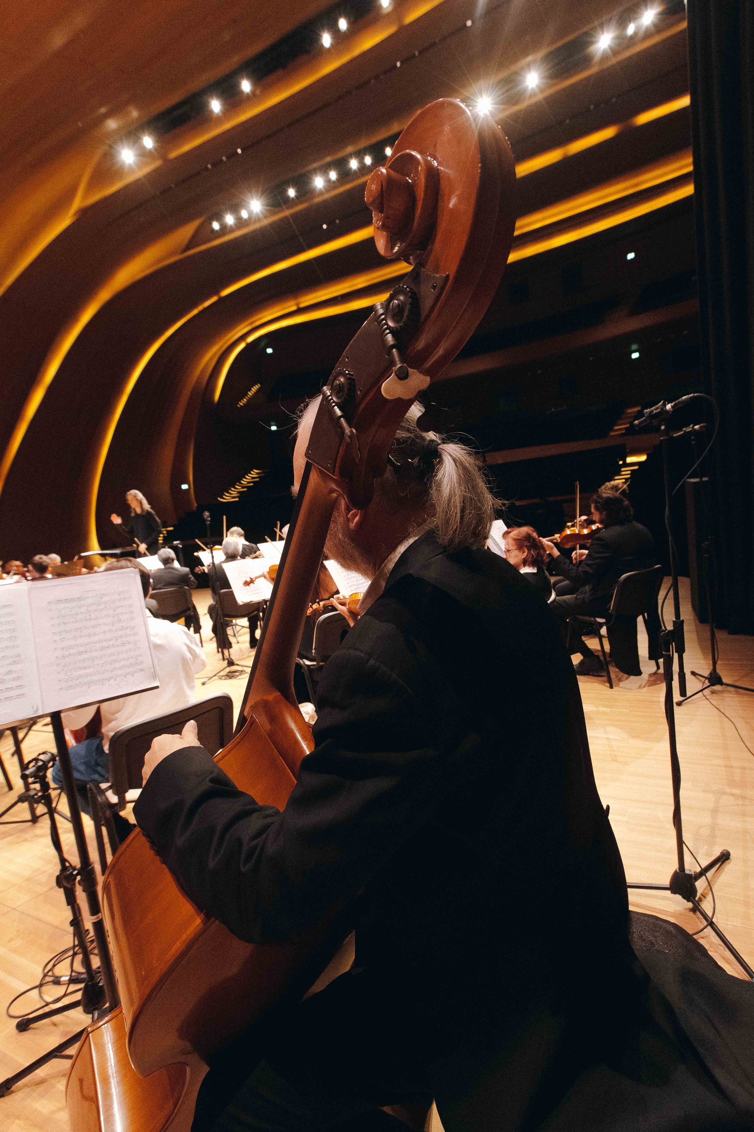 The Tchaikovsky Academic Grand Symphony Orchestra in Baku. Wedding&Event photographer Ismail Rzayev in Baku