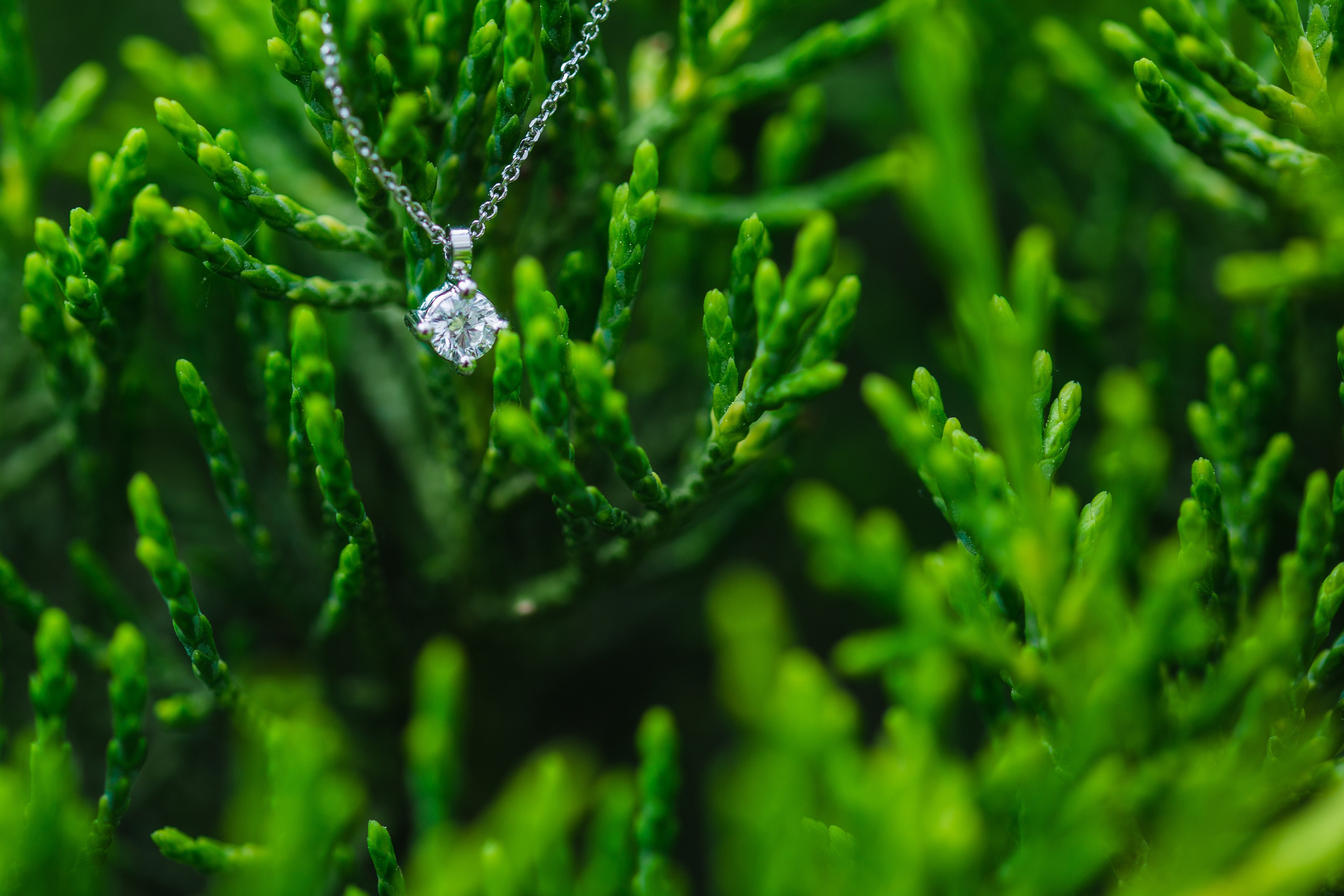 CARMEN Y ADRIÁN. Rainbox Estudio de Fotografía