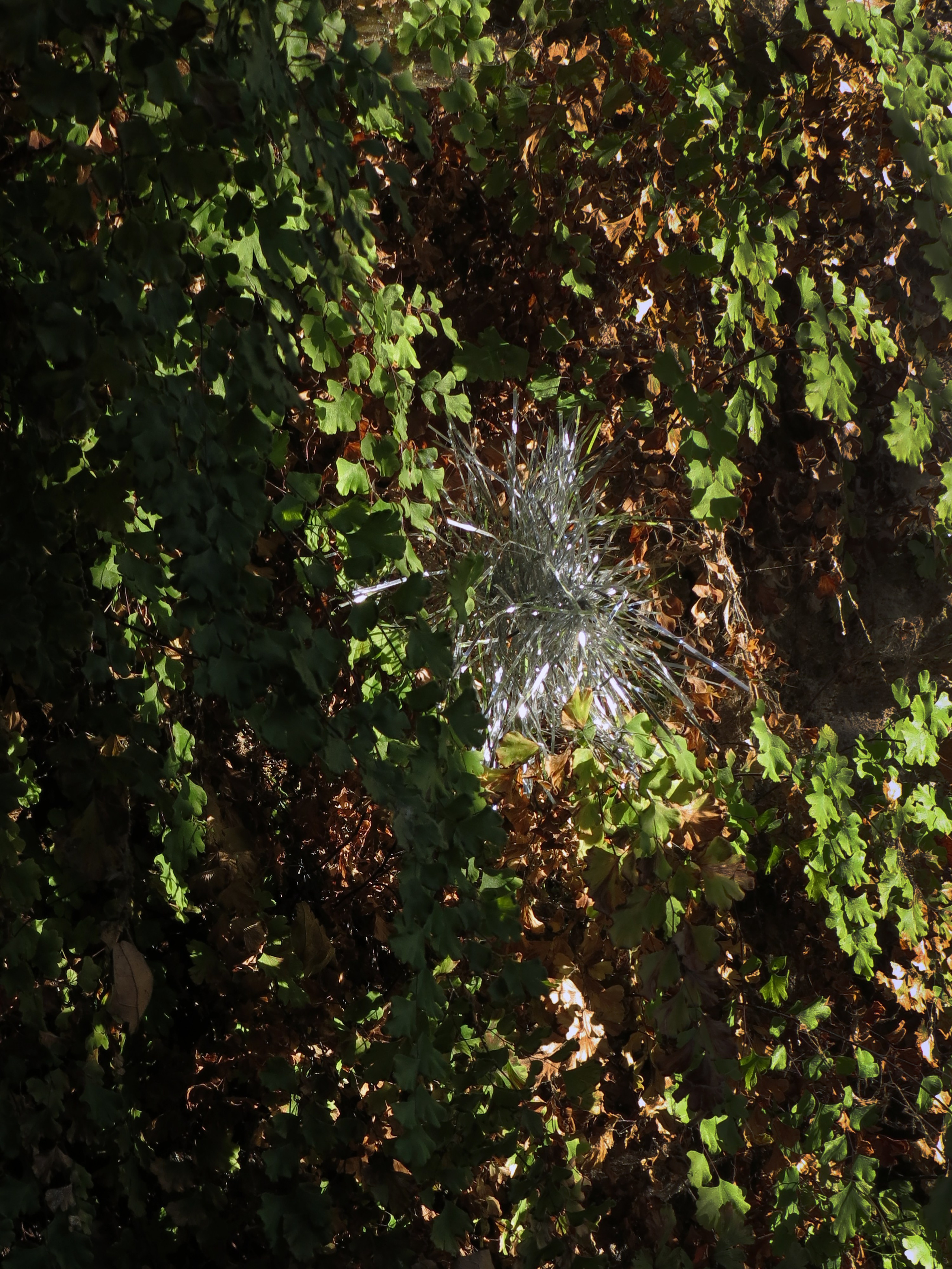 There Was a Holiday Here. Stanislava Novgorodtseva — Photographer | Visual Artist | Educator